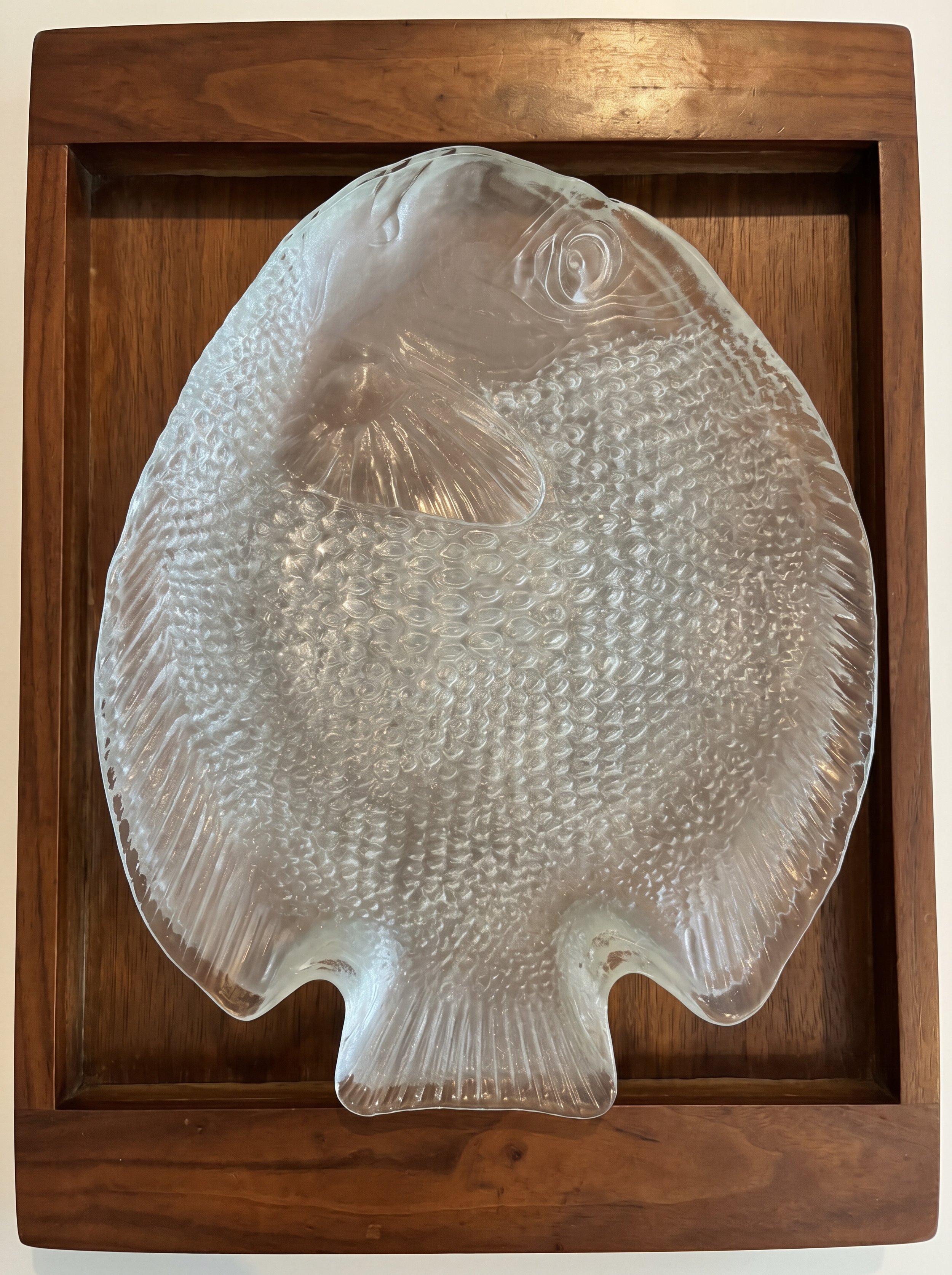 Arcoroc Fish Plates x 6 in tray.jpeg