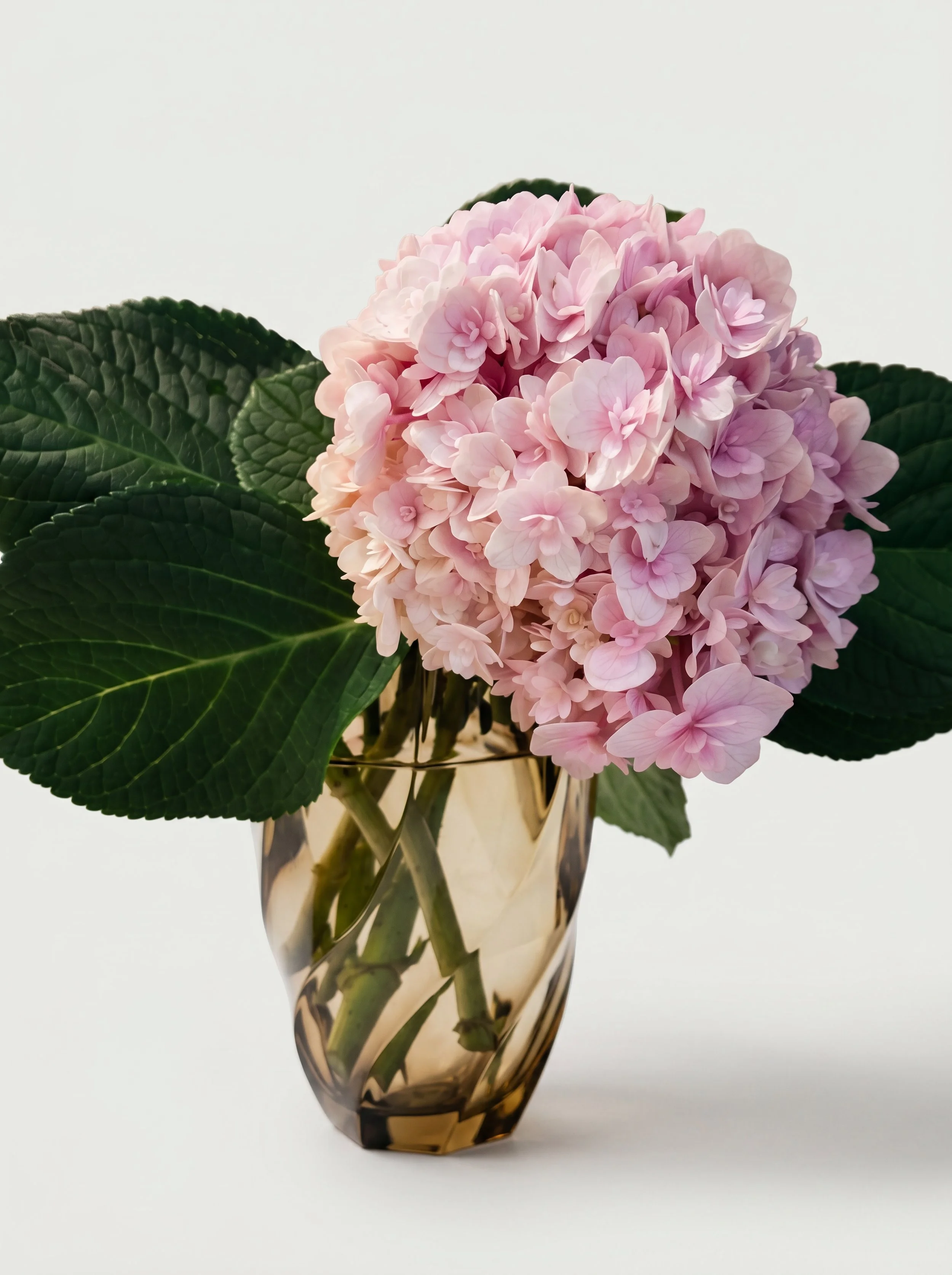 Twist vase with flower.jpeg