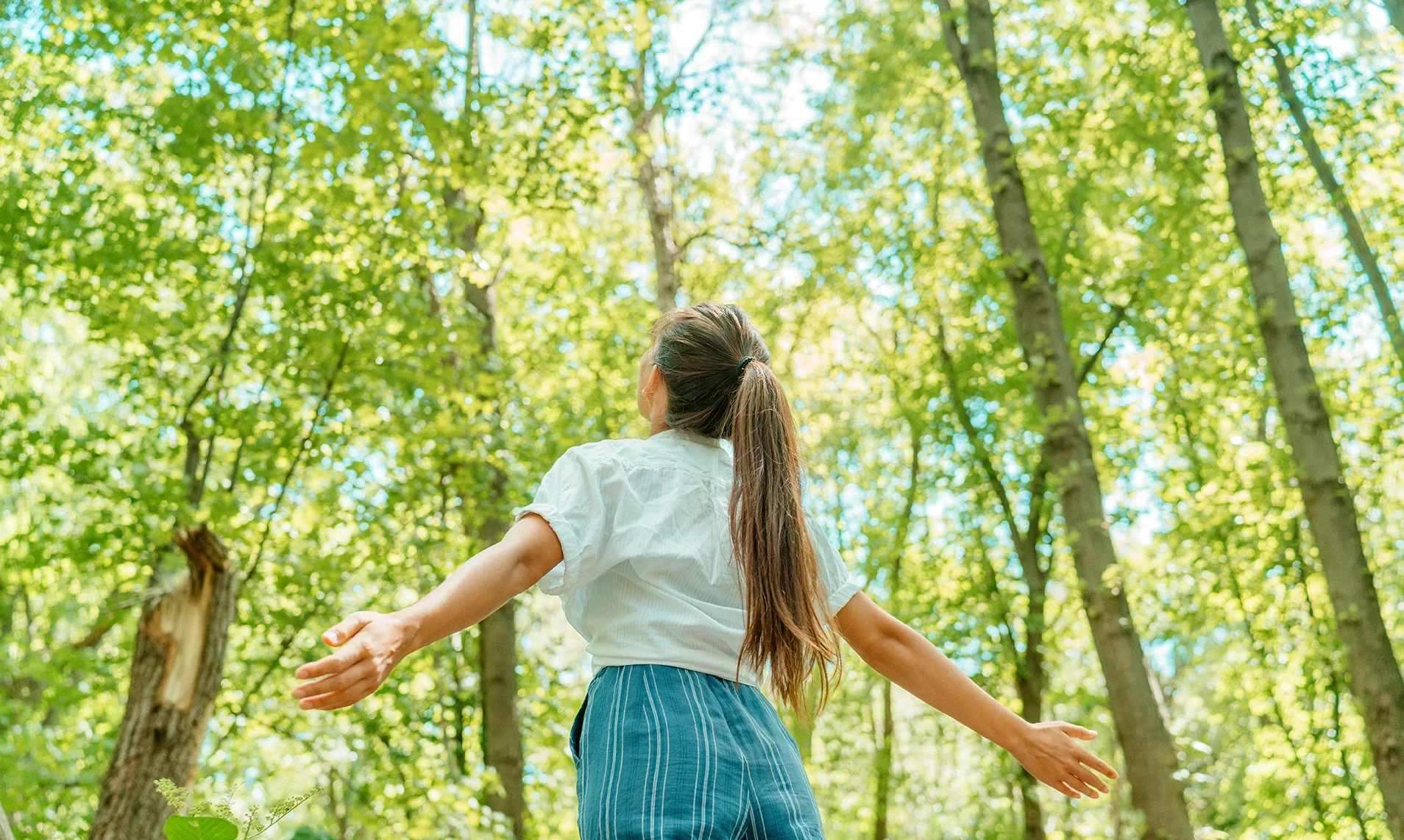 walkinginnature.webp