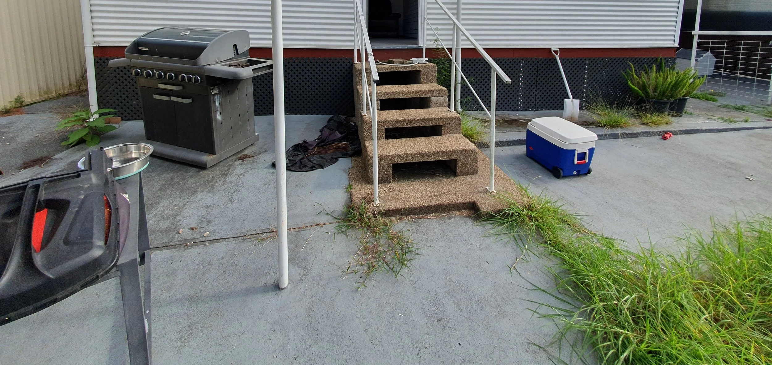Back porch with outdoor grill, cooler, and steps, with scattered plants and weeds on concrete surface.