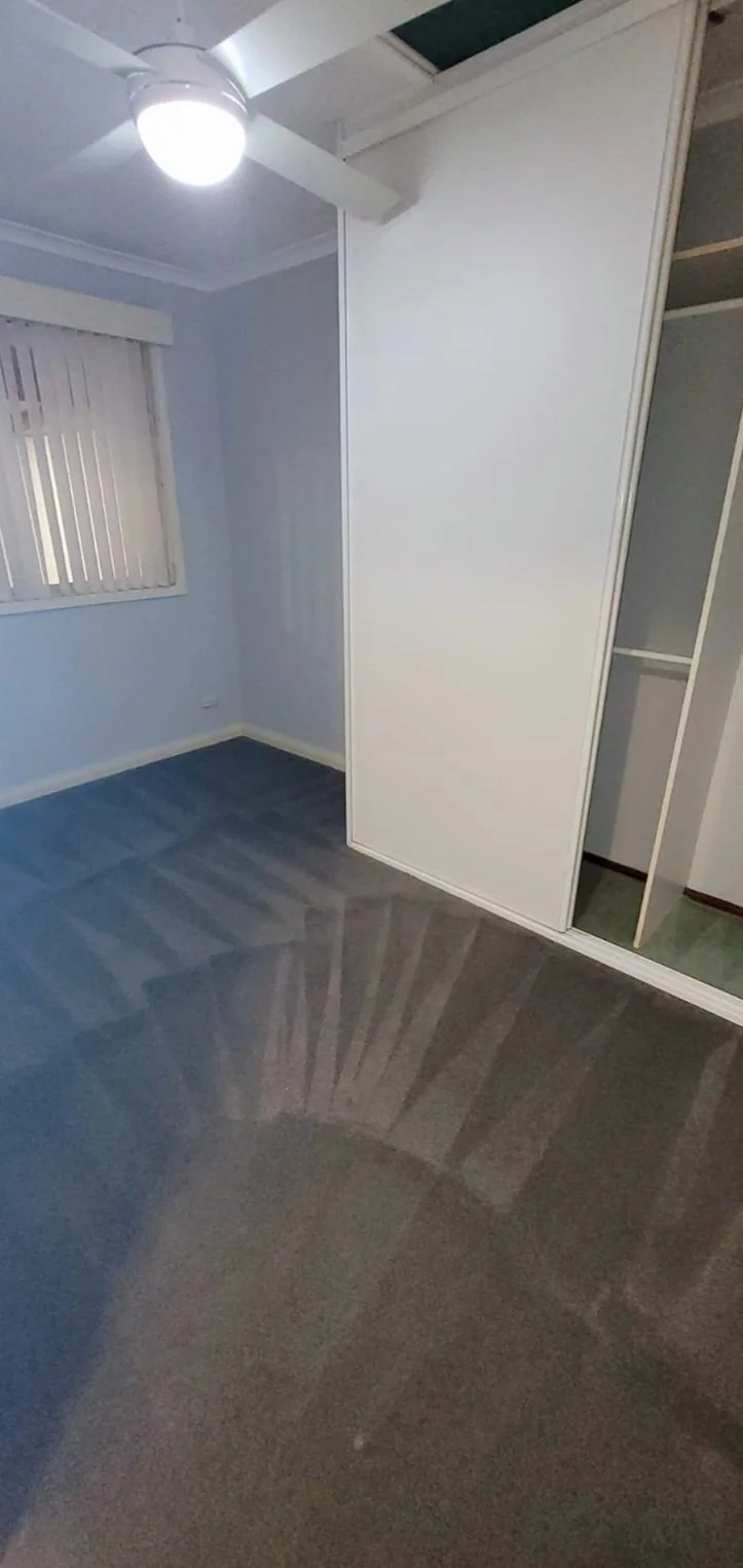 Empty room with window covered by vertical blinds, closet with sliding door, and beige carpeted floor.