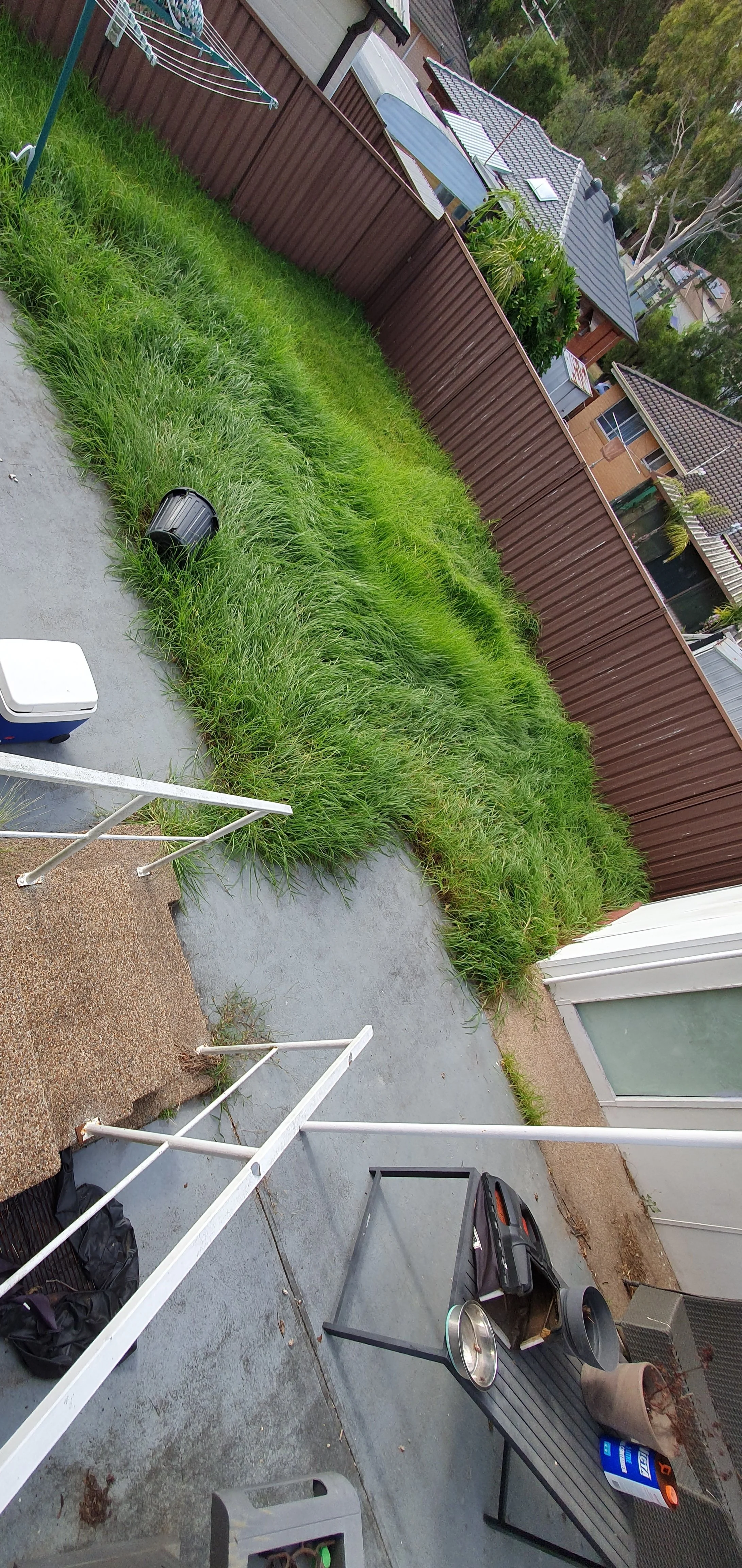 Backyard with overgrown grass, concrete patio, and brown wooden fence. Items include a black trash can, a white cooler, a small black table with a metal dog bowl, a propane grill, a black plastic container, and a blue canister, with a metal drying ra