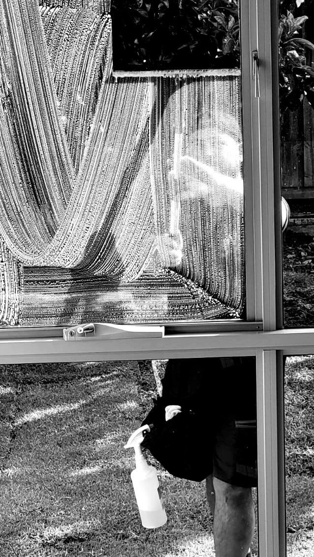 A person cleaning a window with a spray bottle, partially visible behind the window frame, with trees outside in the background.