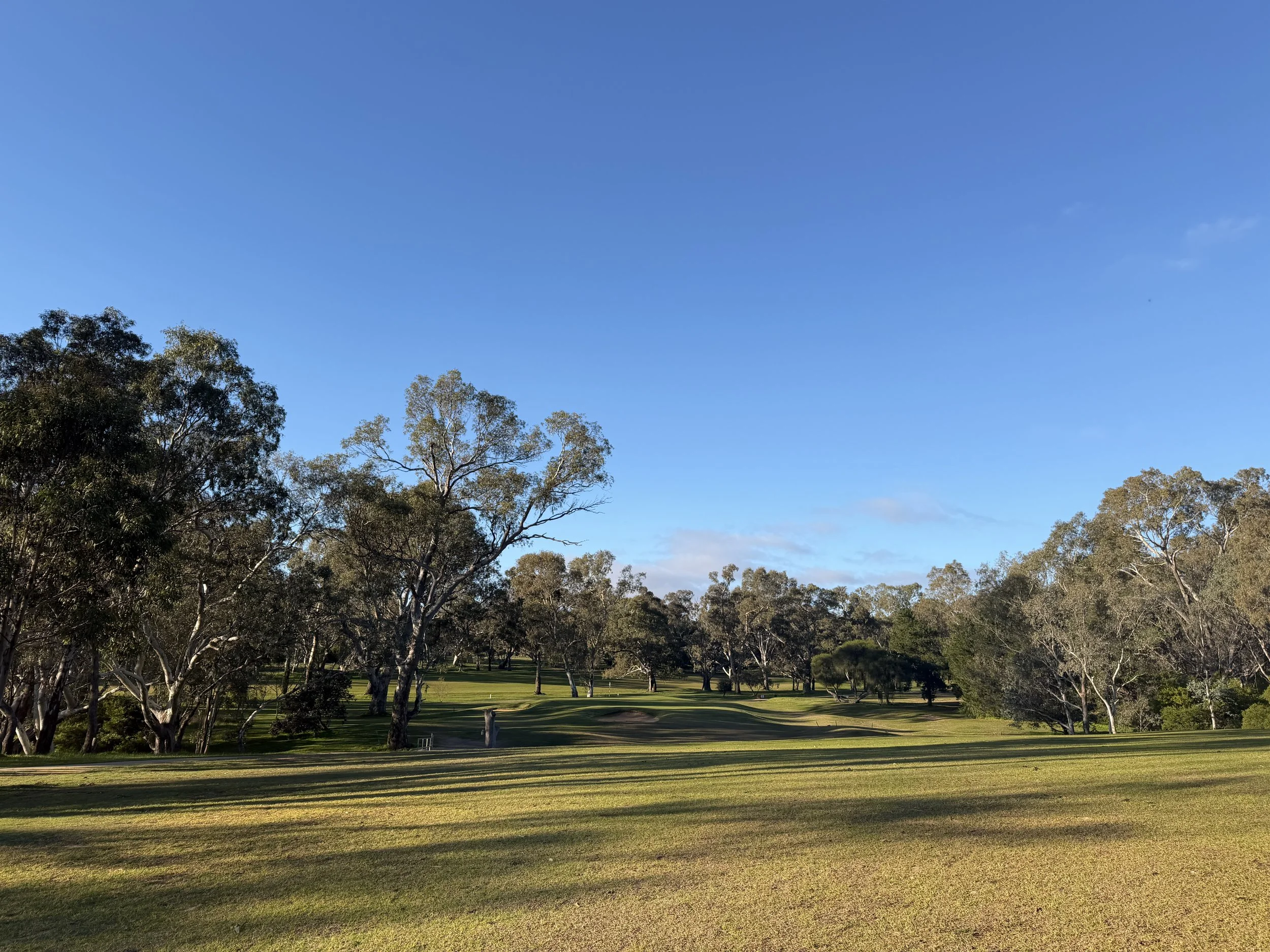 hole 4.JPG