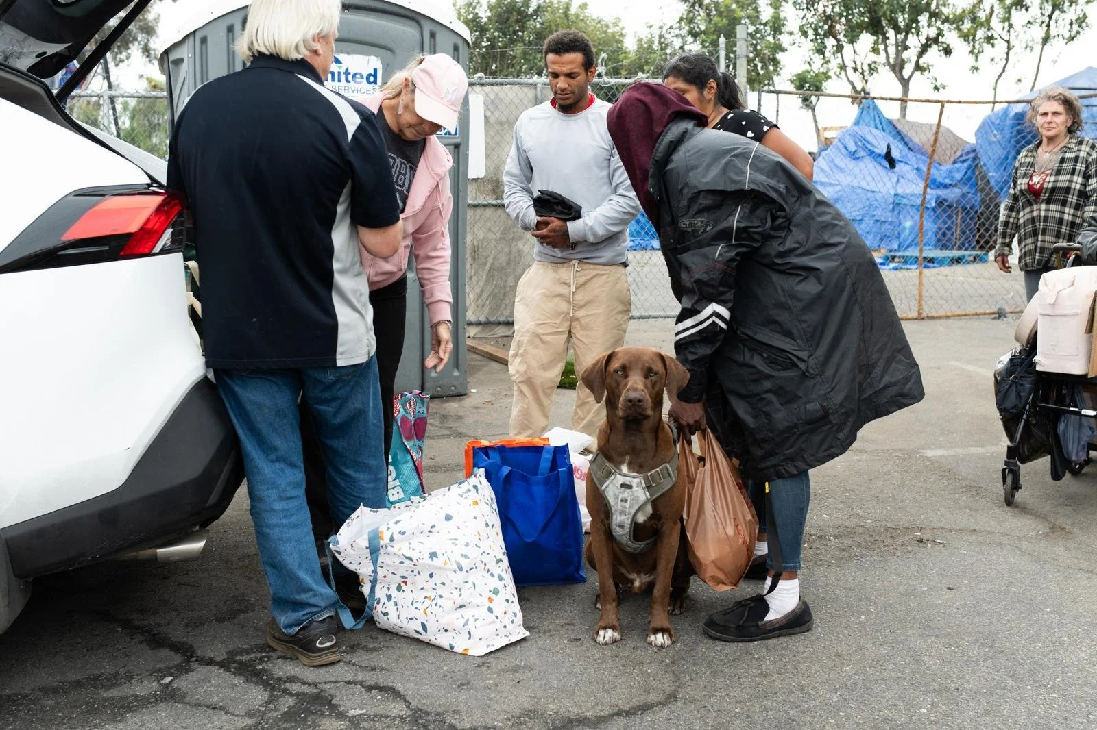 A group of people gathered around a brown dog with a harness, surrounded by bags, near an open car trunk in an outdoor setting with a chain-link fence and trees in the background.