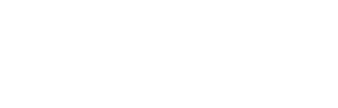 Tempest Consulting Group