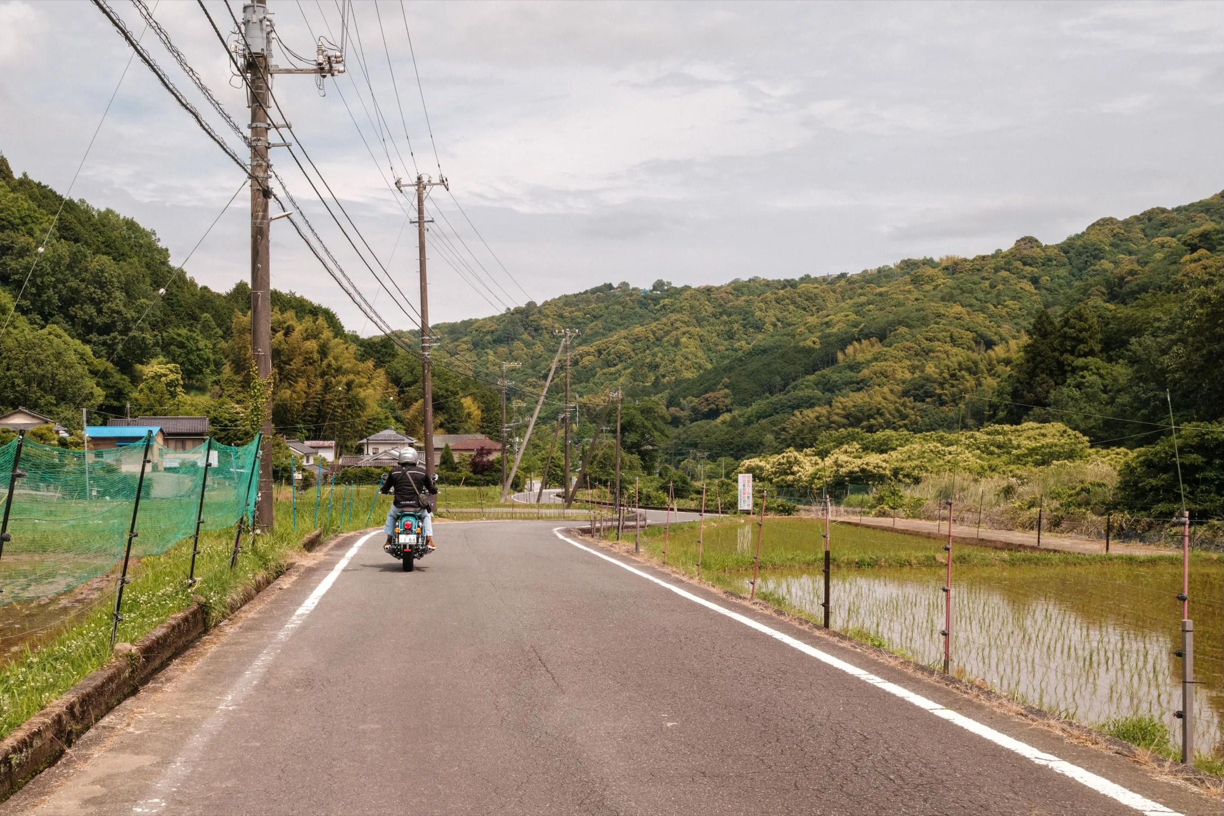 DSCF5308.JPG