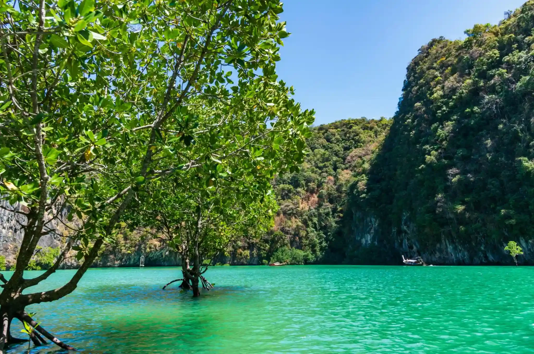 hong-img11.webp