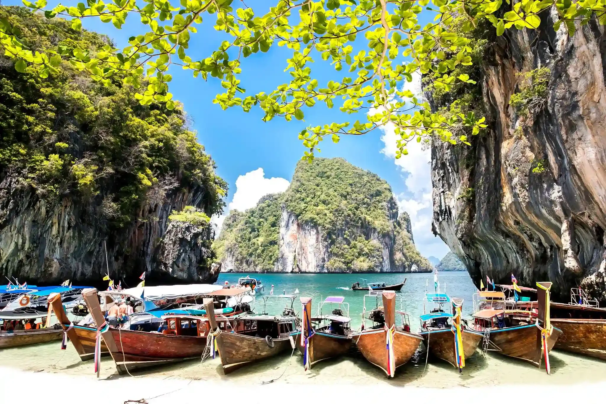 hong-img10.webp