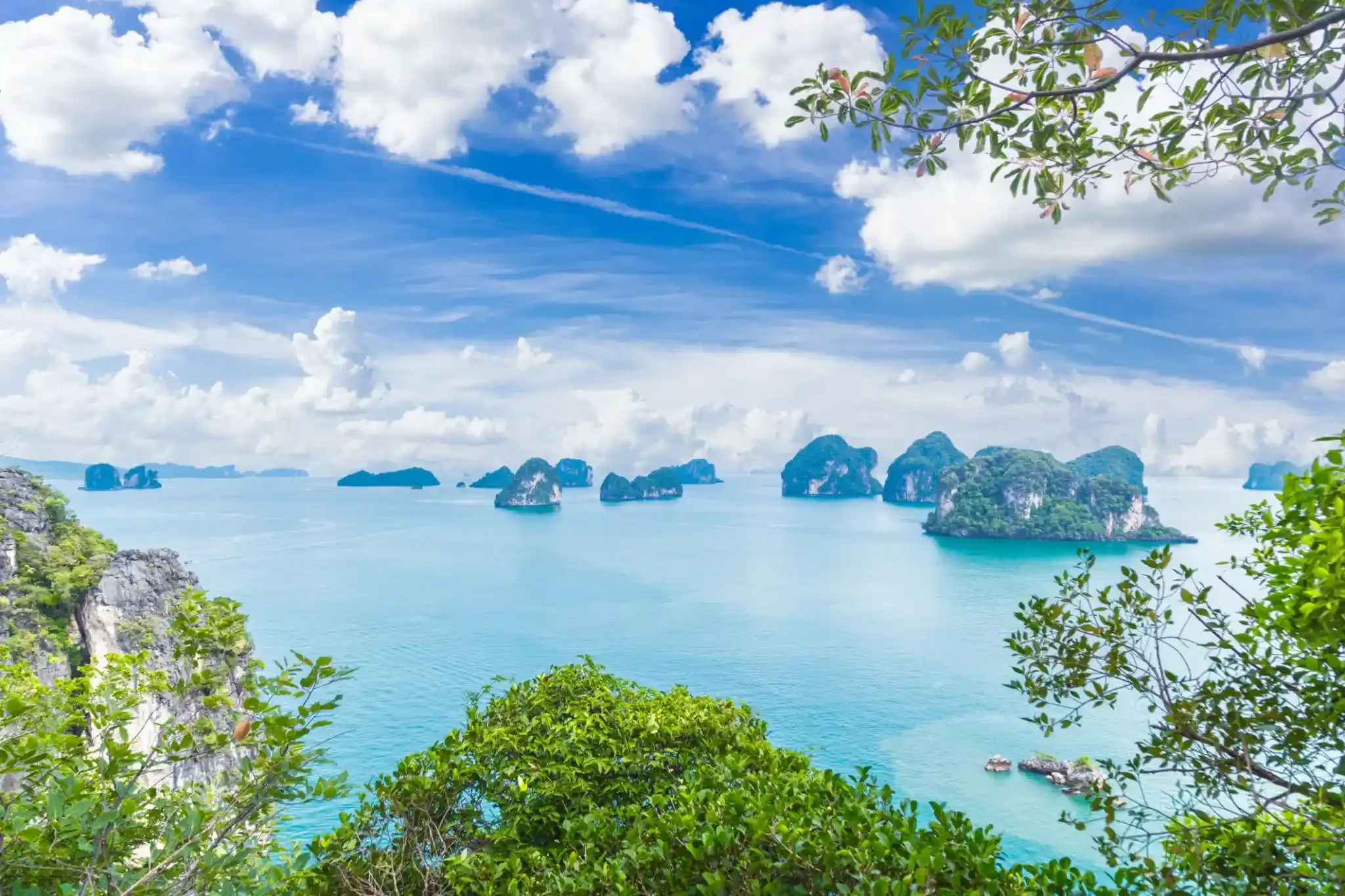 hong-img6.webp