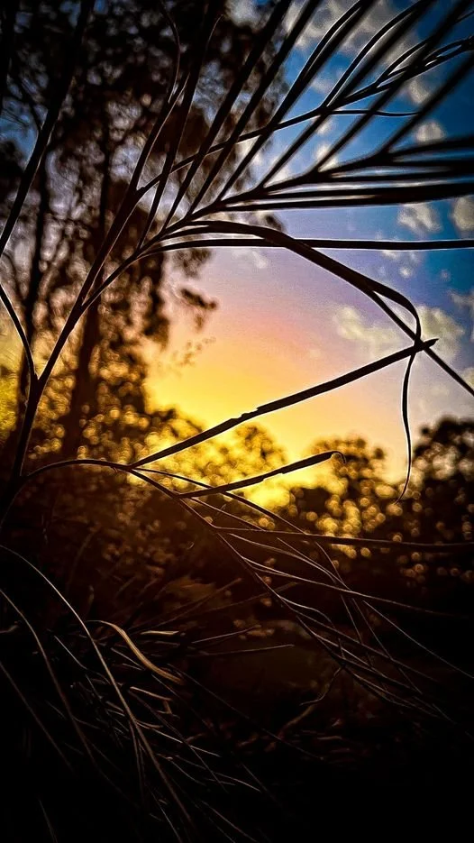 Sunset.jpg