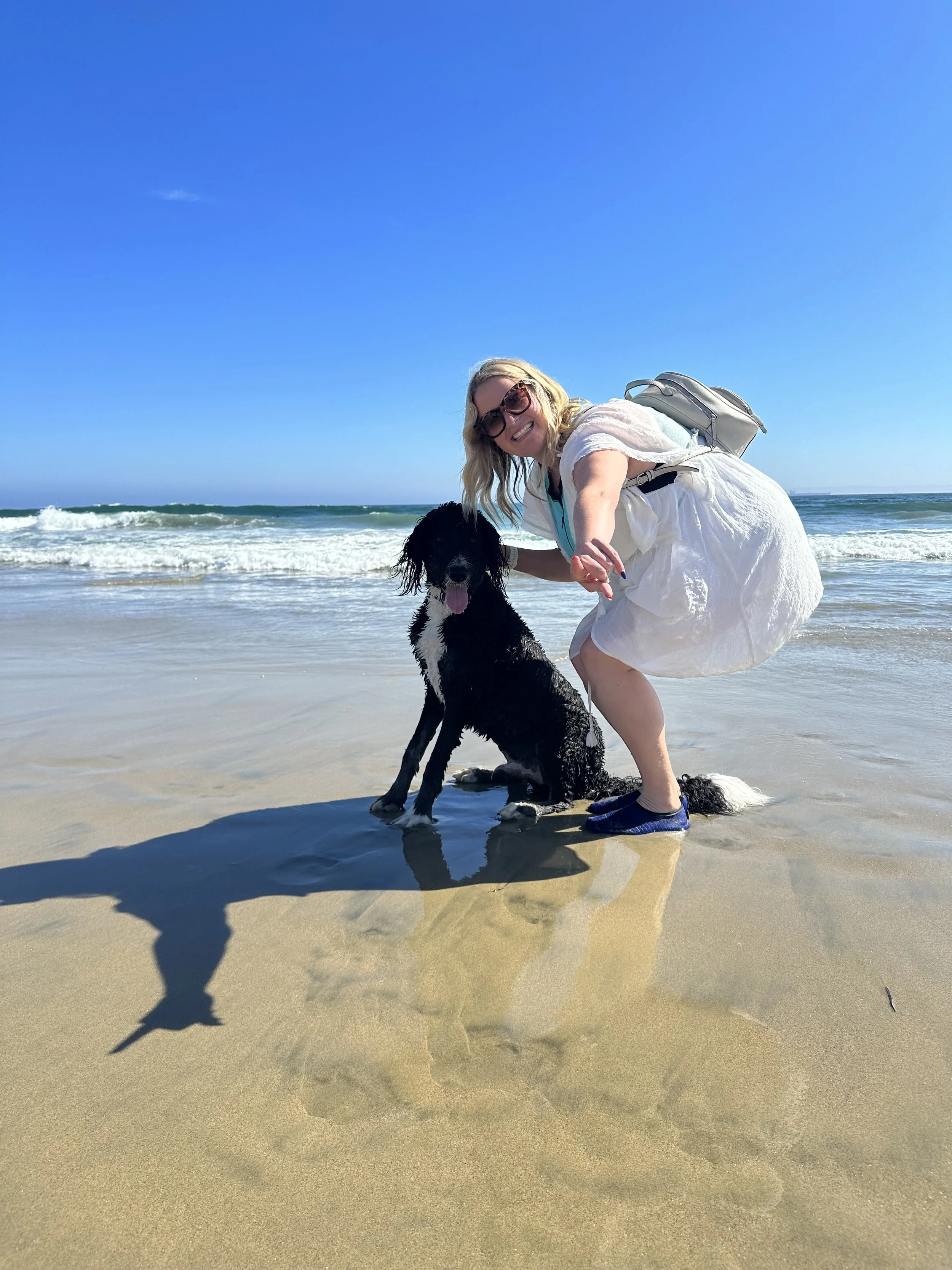 A woman with blonde hair, sunglasses, and a white dress crouching on a sandy beach with a black and white dog. Both are near the water with waves in the background. The woman is smiling and reaching out to the dog.
