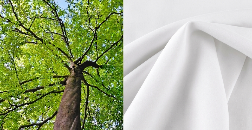 An image of Greenspacing.