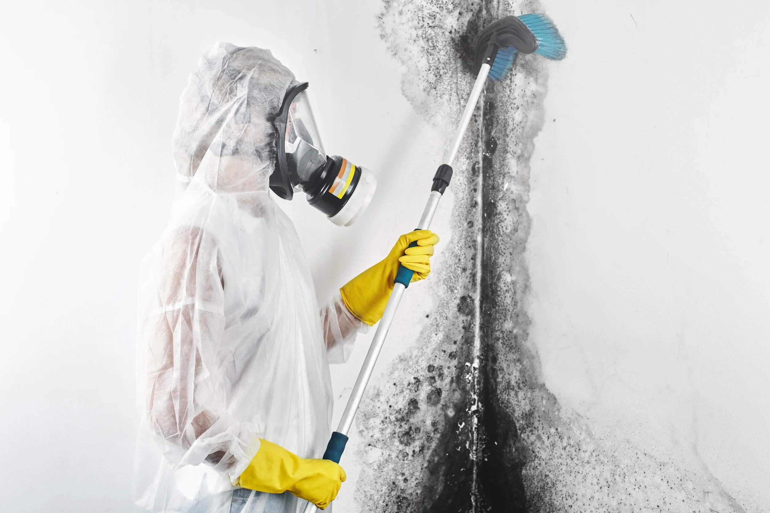 Person in protective gear cleaning black mold off a white wall with a scrubbing tool.