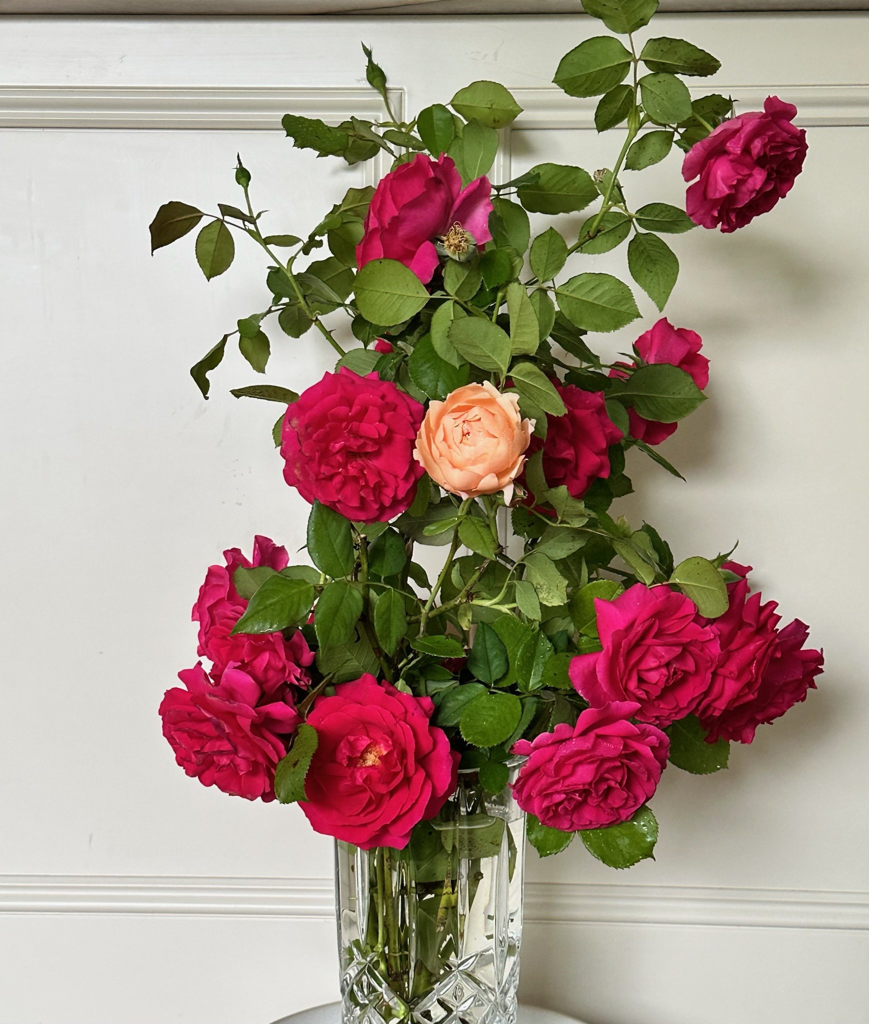 A colorful bouquet of pink, red, and peach roses arranged in a tall, clear glass vase.