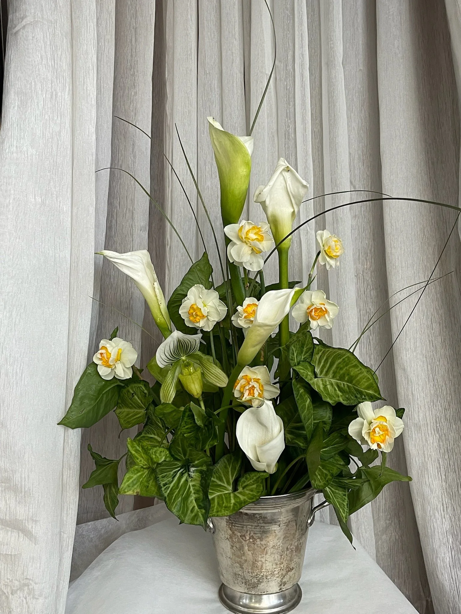 IMG_0558.jpeg
