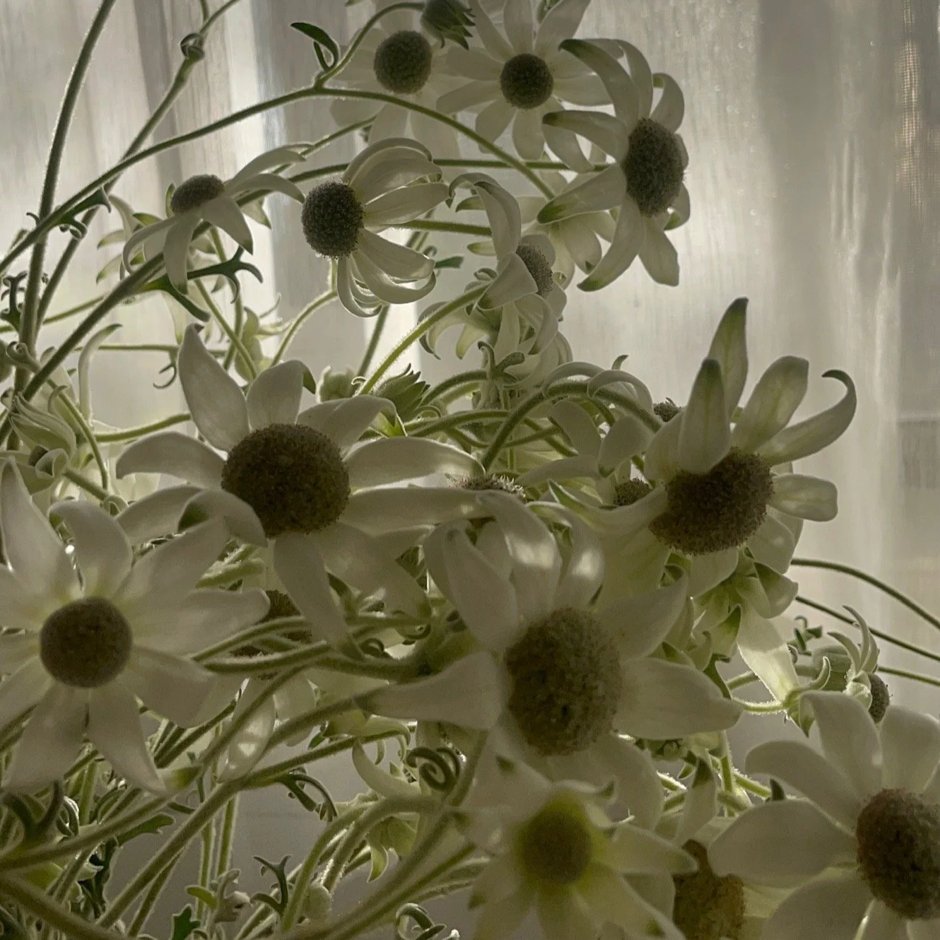 Floral Inspiration