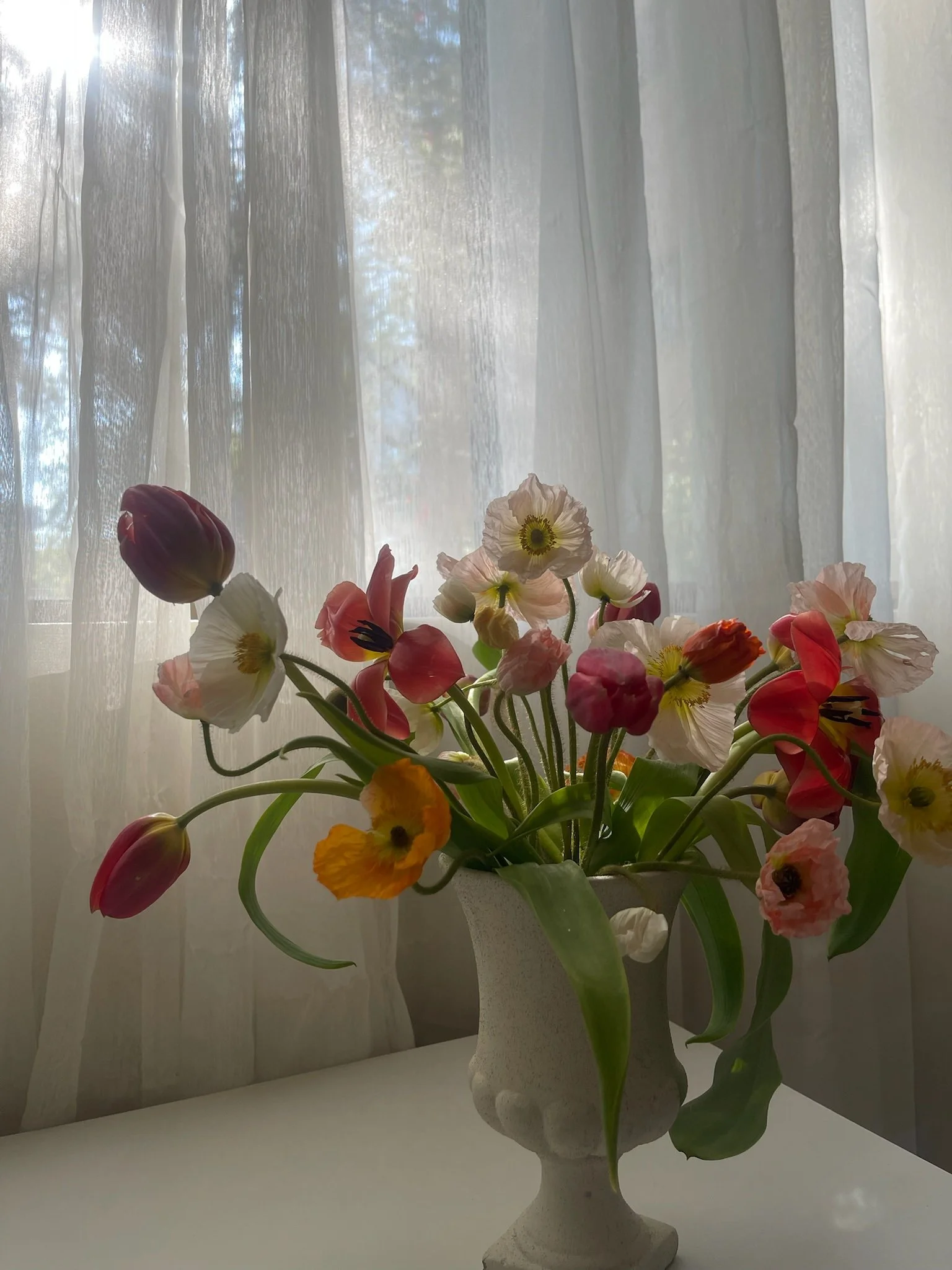 A vase of various colorful flowers, including tulips and poppies, placed on a white surface near a window with sheer curtains, with sunlight filtering through.
