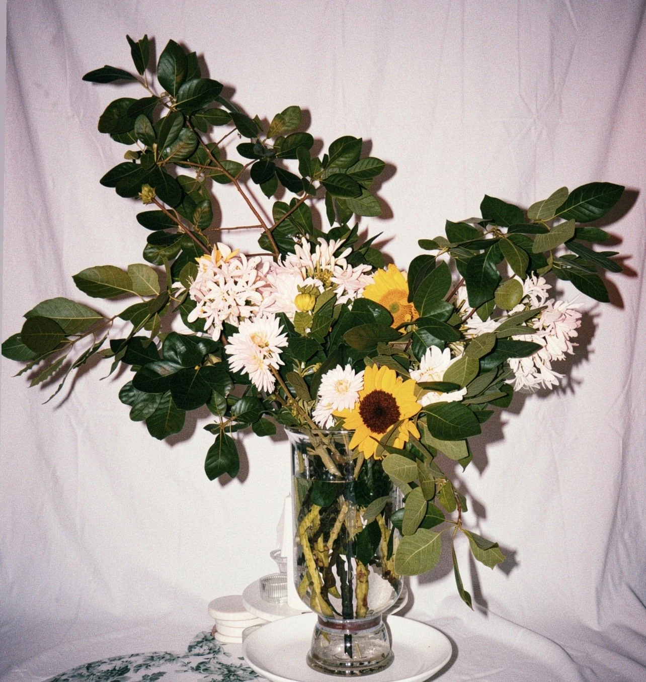 0AF931C1-4F1D-464F-ADEE-445E40DC750F.JPG