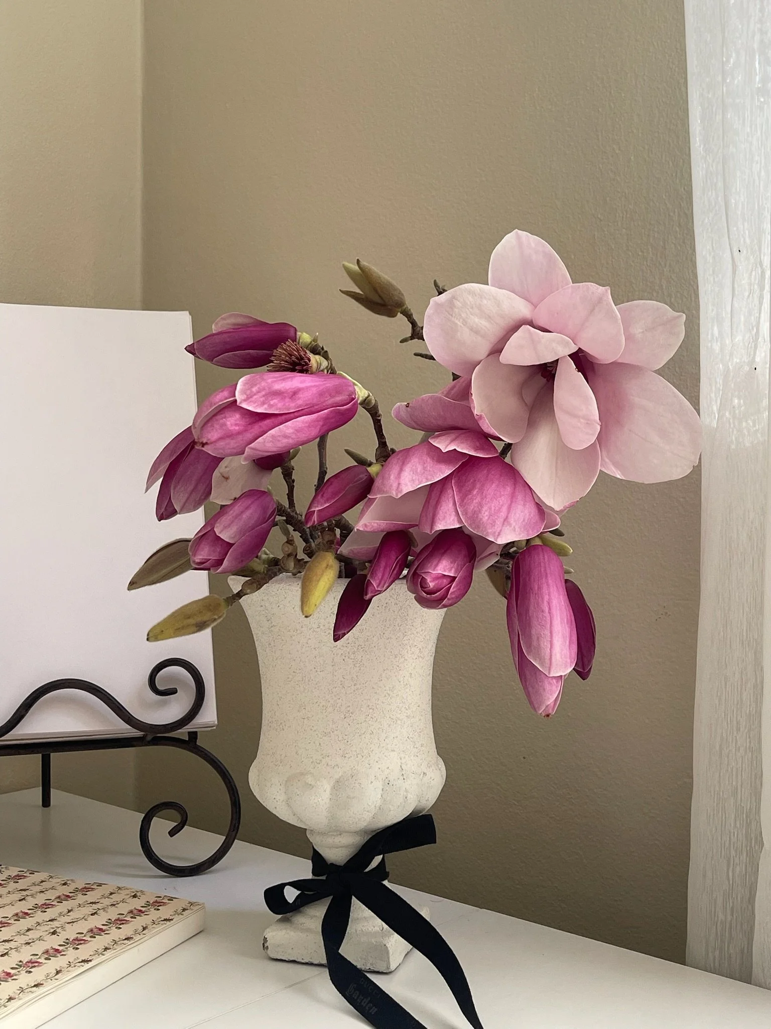 A white vase with pink magnolia flowers and buds, tied with a black ribbon.