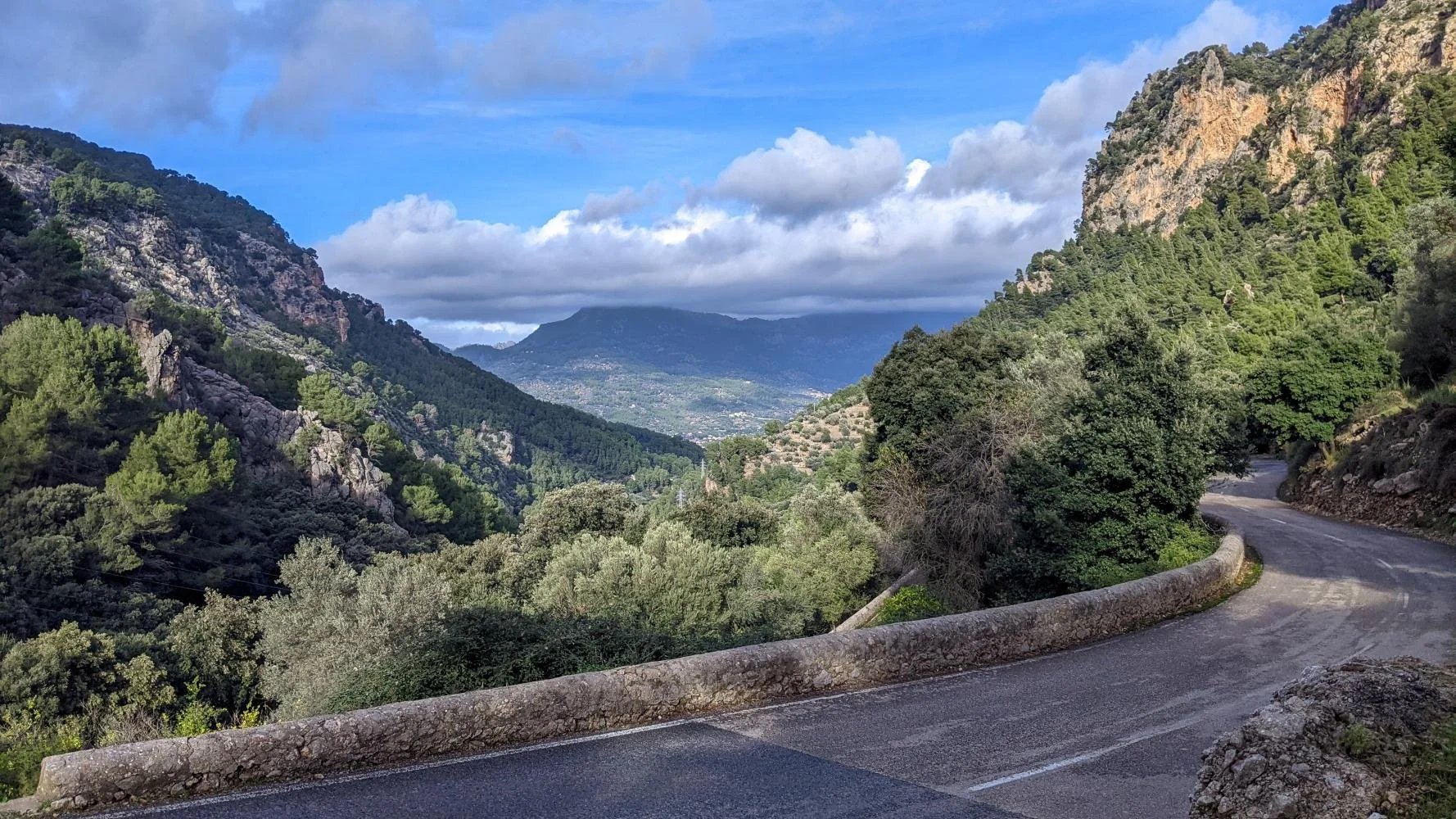 col soller.jpeg