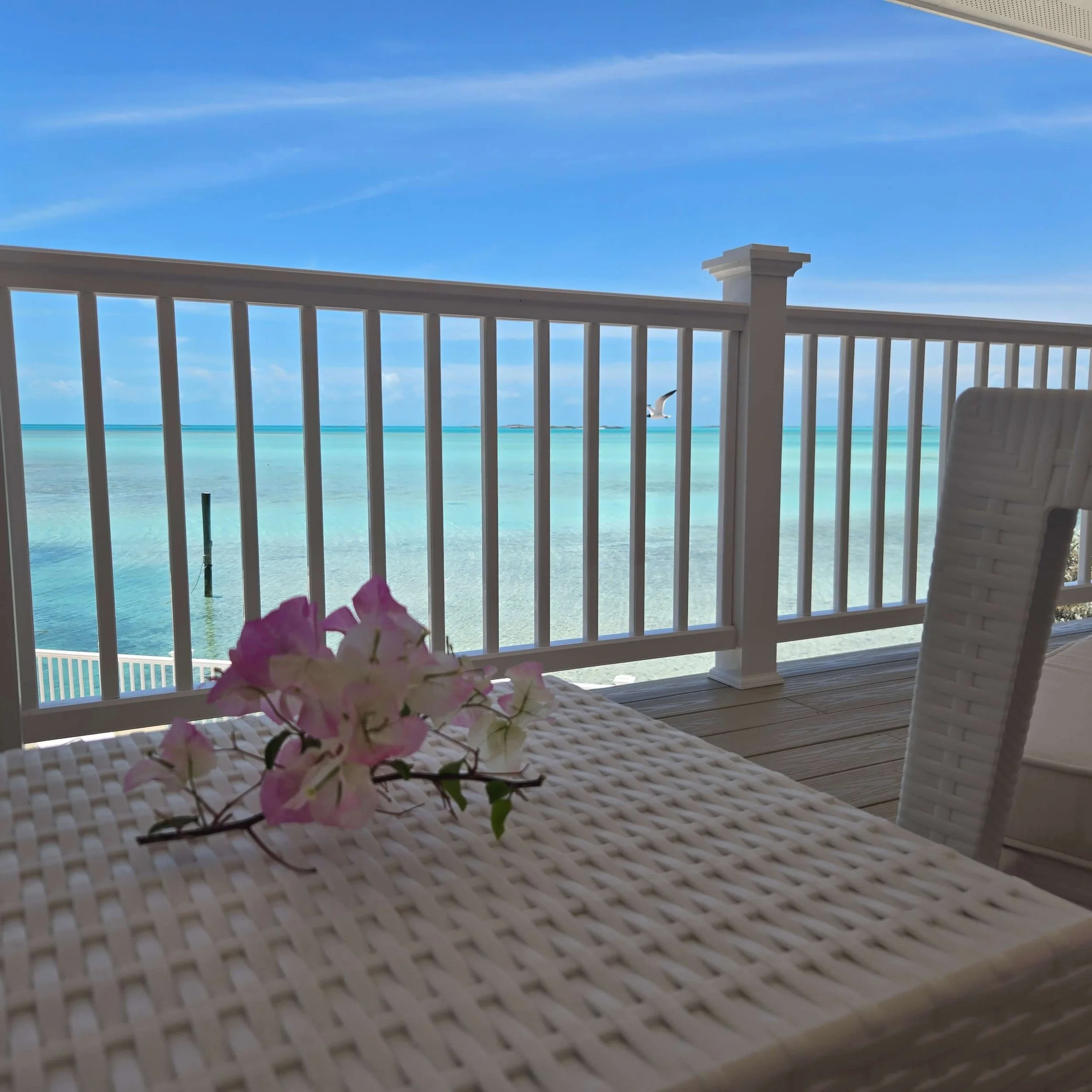 View from the Seaside balcony with white railing, turquoise ocean, seagull flying, partly cloudy blue sky, pink flowers and lounge chair furniture.