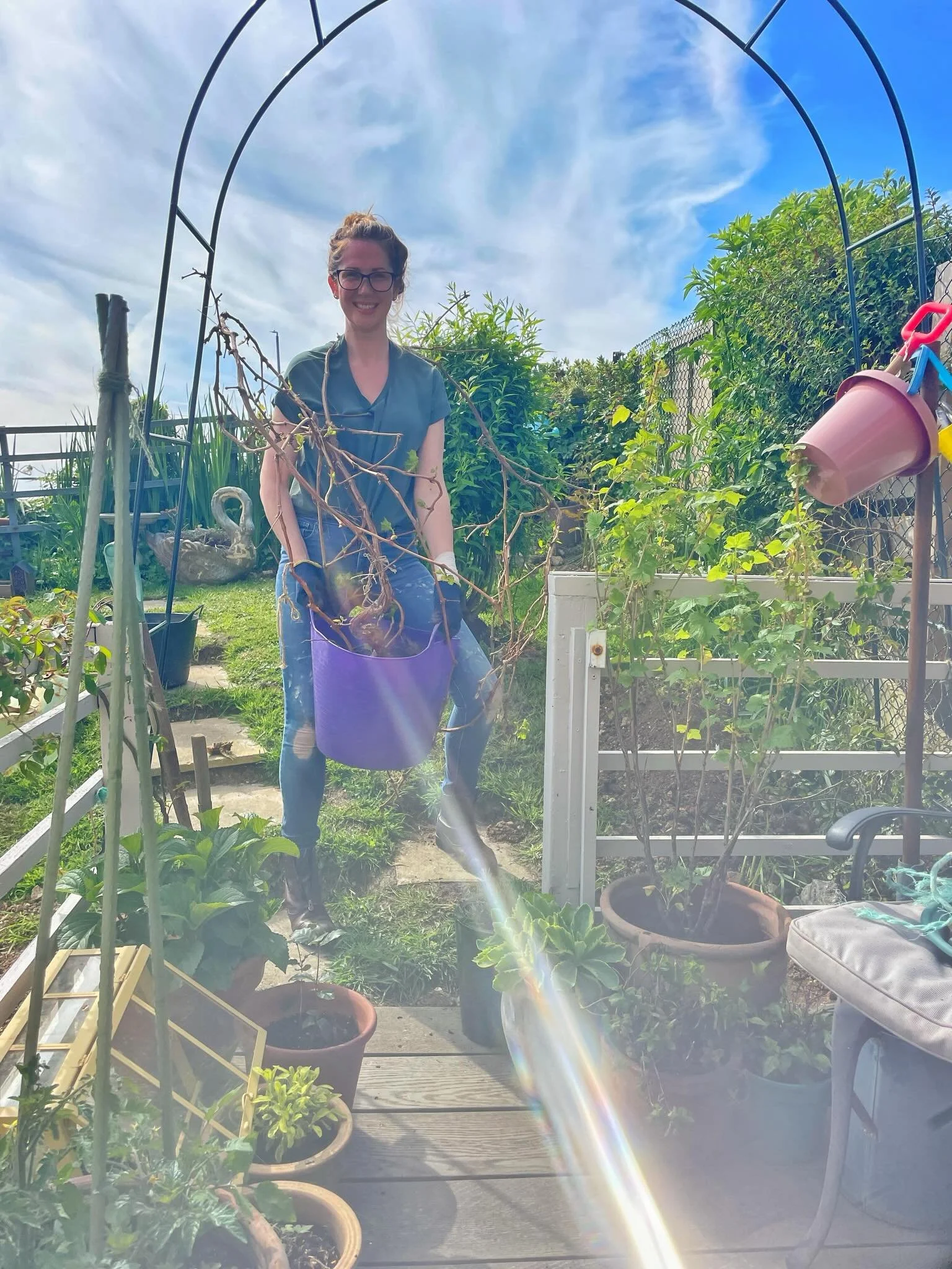 ~ 🍇 ~ Mum and I have transplanted the grape vine from Laundry Cottage. I&rsquo;m very curious to see how it does on the chalky south coast. It will have to contend with salty winds but I think it will love the soil. What do we think garden nerds?