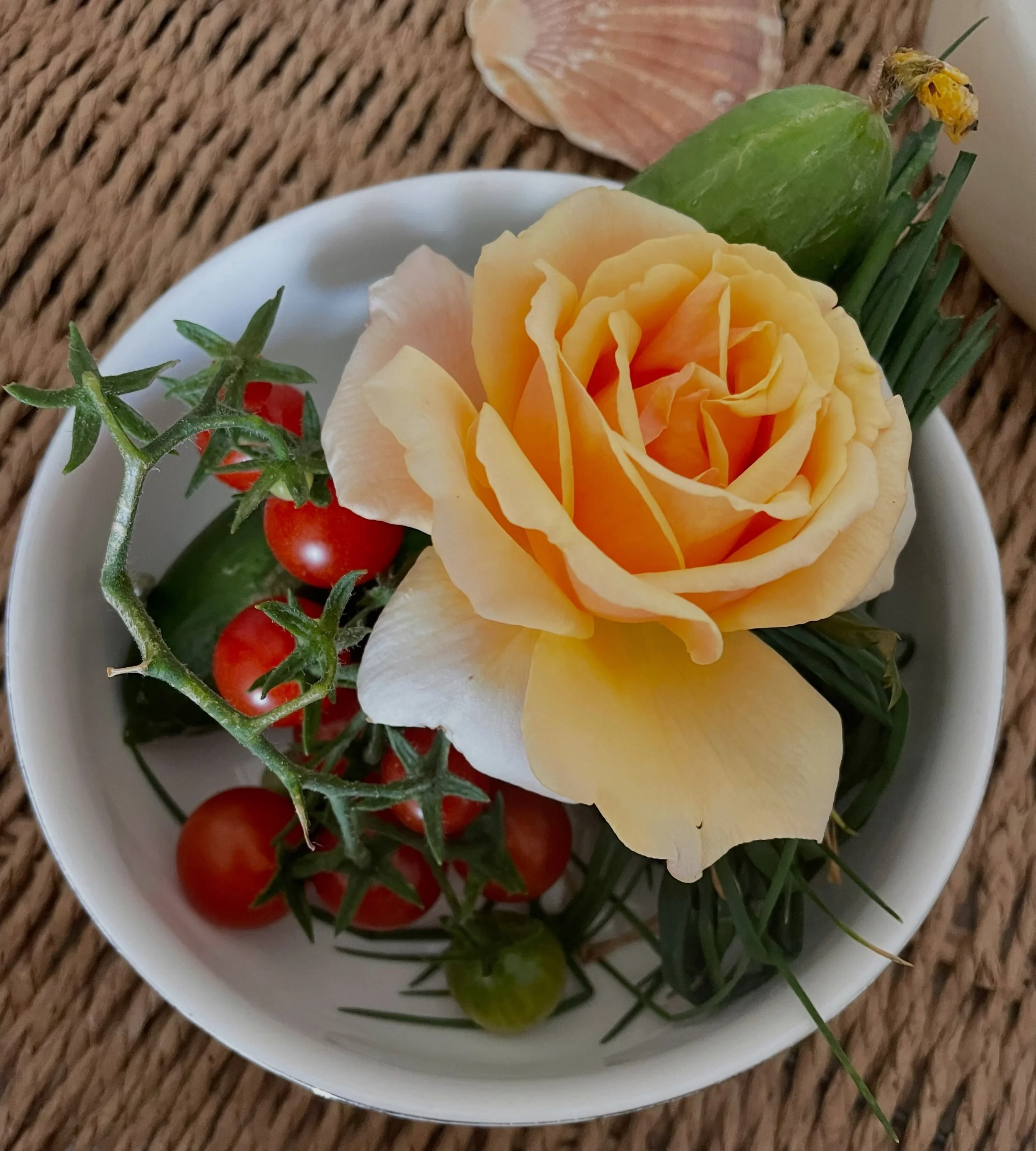 ~ HARVEST ~