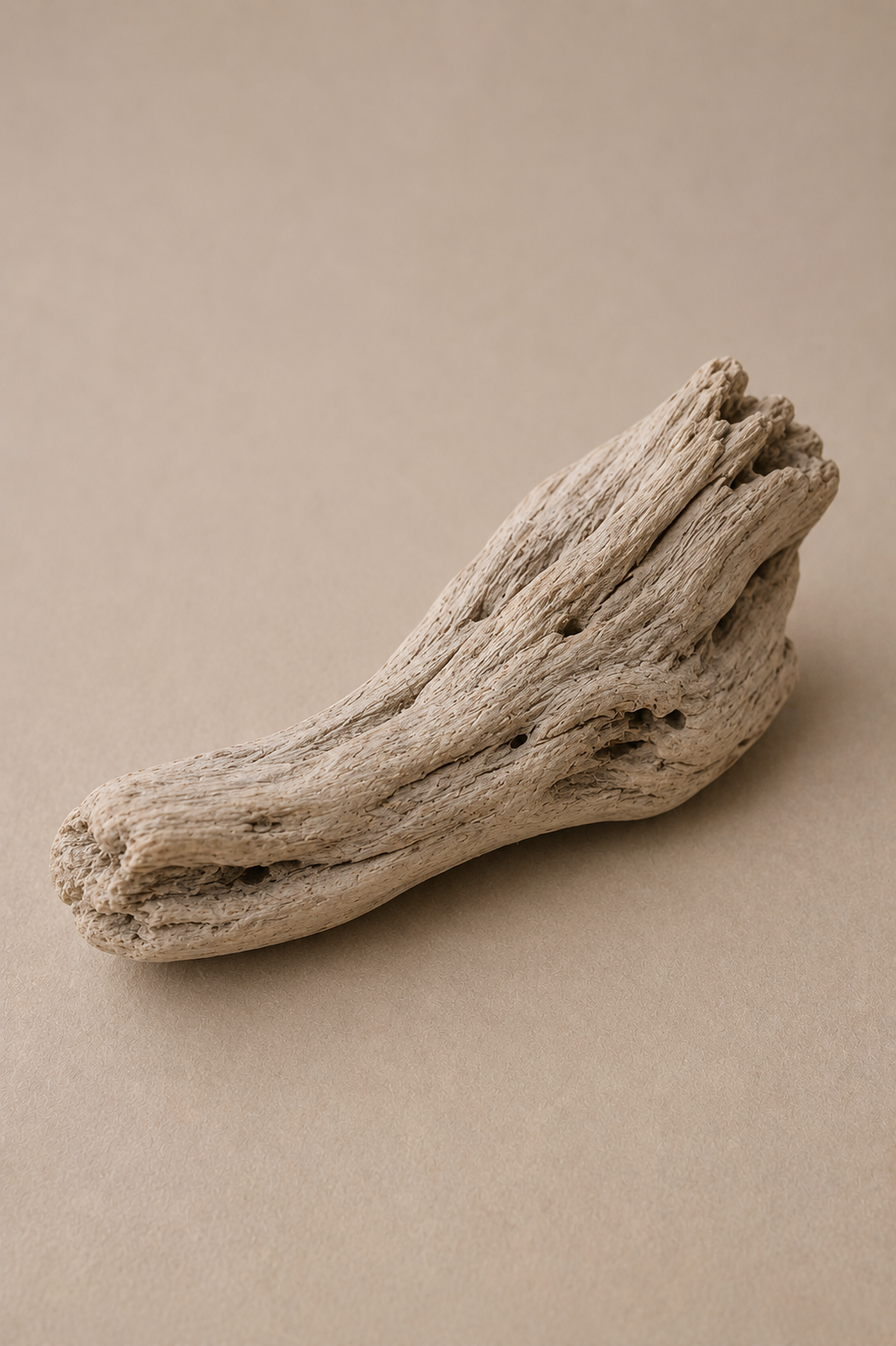 A piece of light-colored driftwood with a textured surface on a beige background.