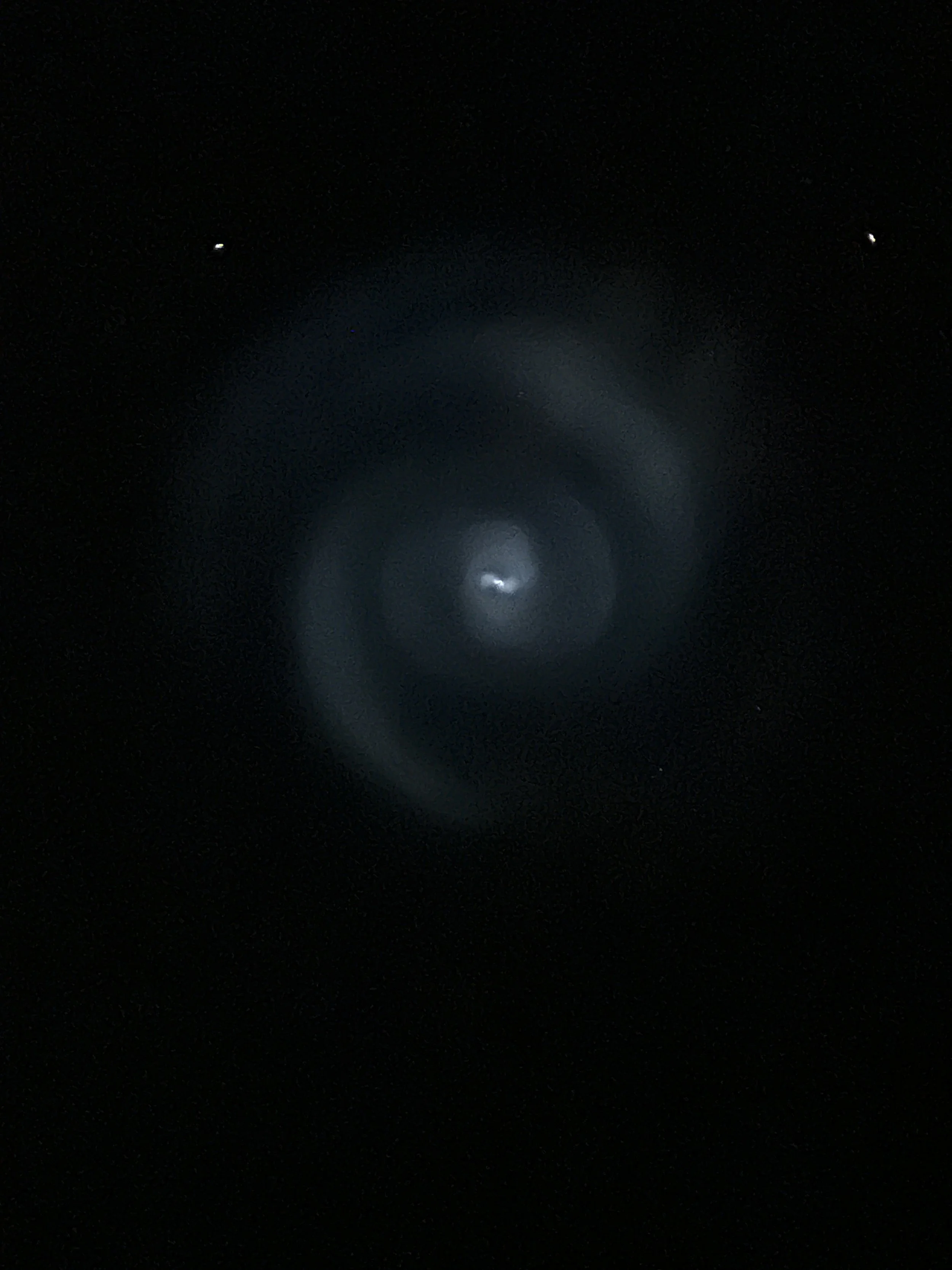 Sterren, Dolfijnen en een UFO