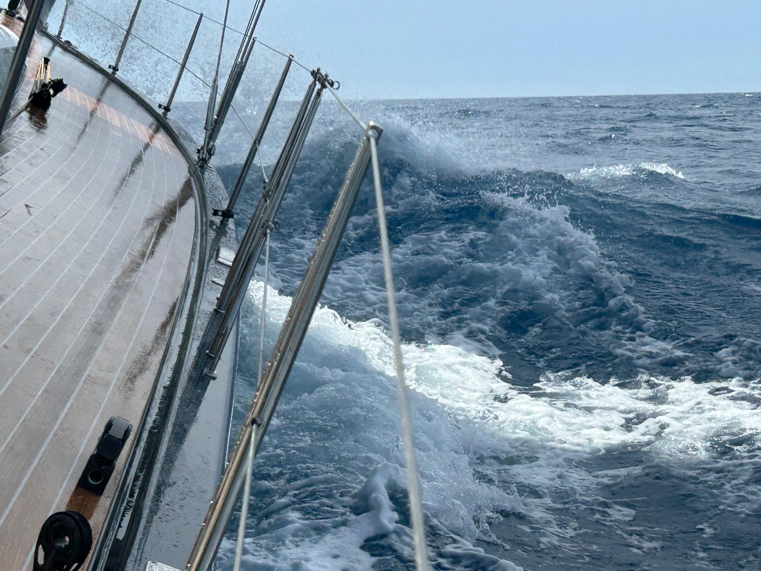 Sterren en Dolfijnen