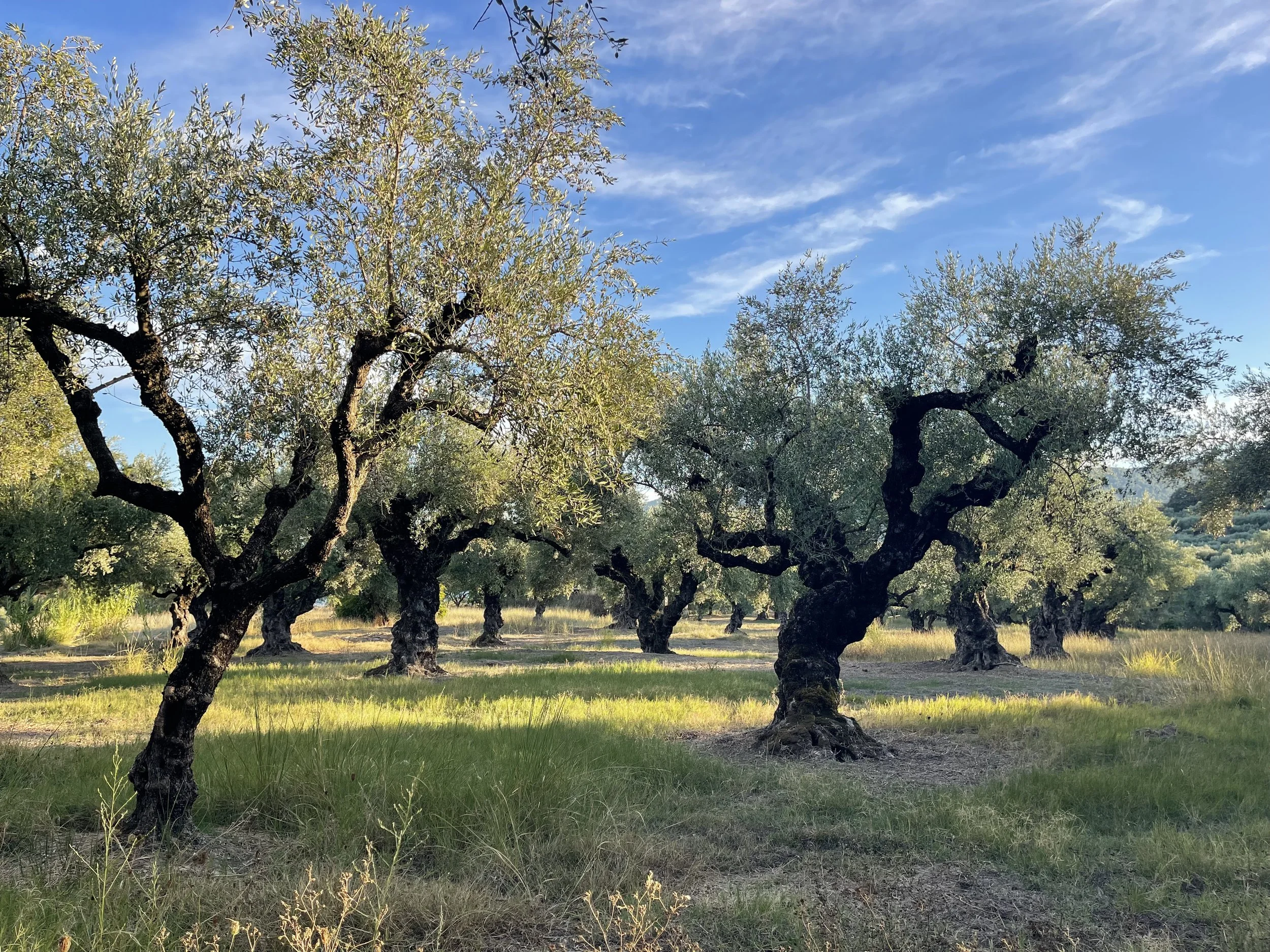 Zakynthos Intermezzo