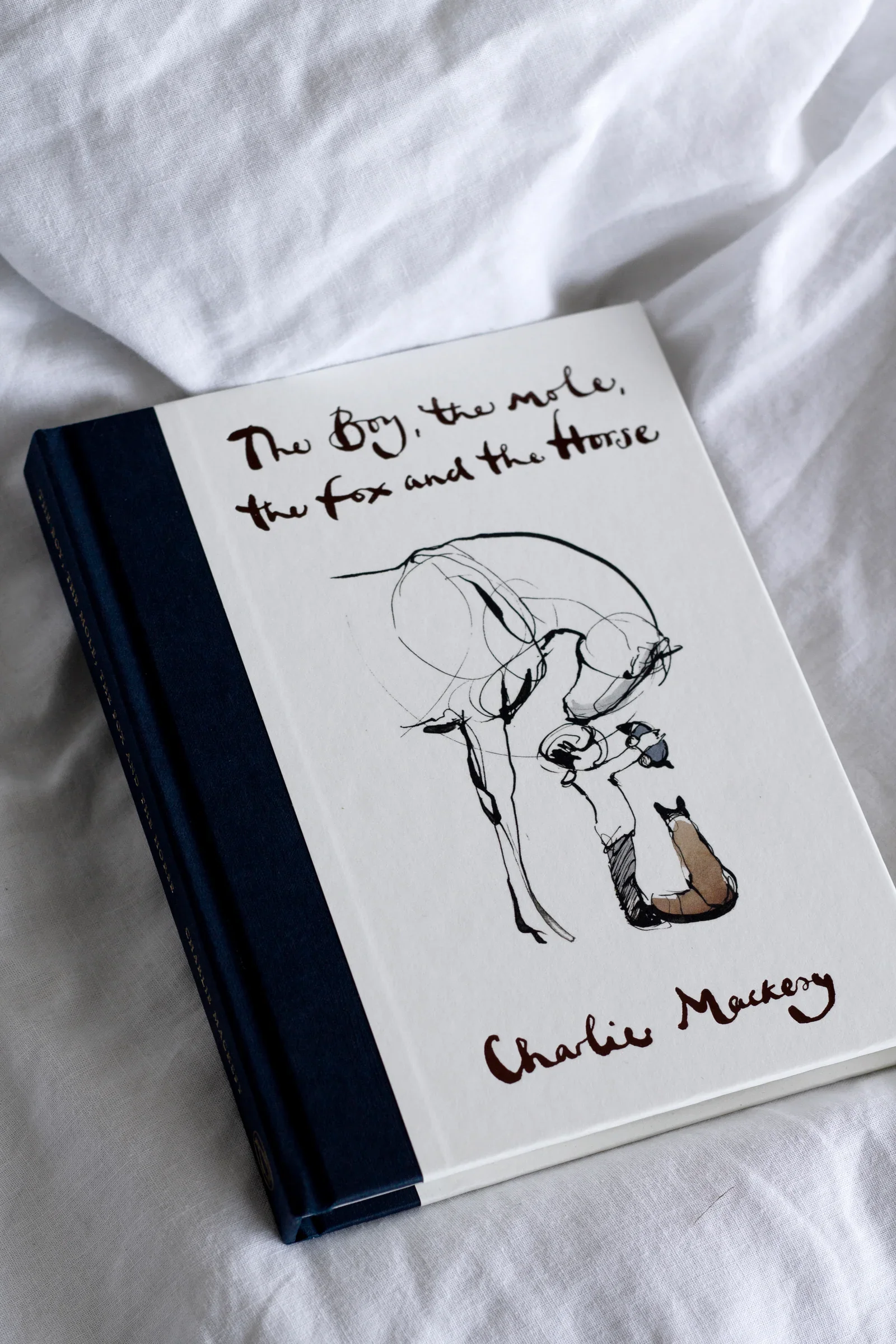 Ein Buch mit dem Titel 'The Boy, the Mole, the Fox and the Horse' von Charlie Mackesy liegt auf einem weißen Stoff. Das Cover zeigt eine Skizze eines Mols.
