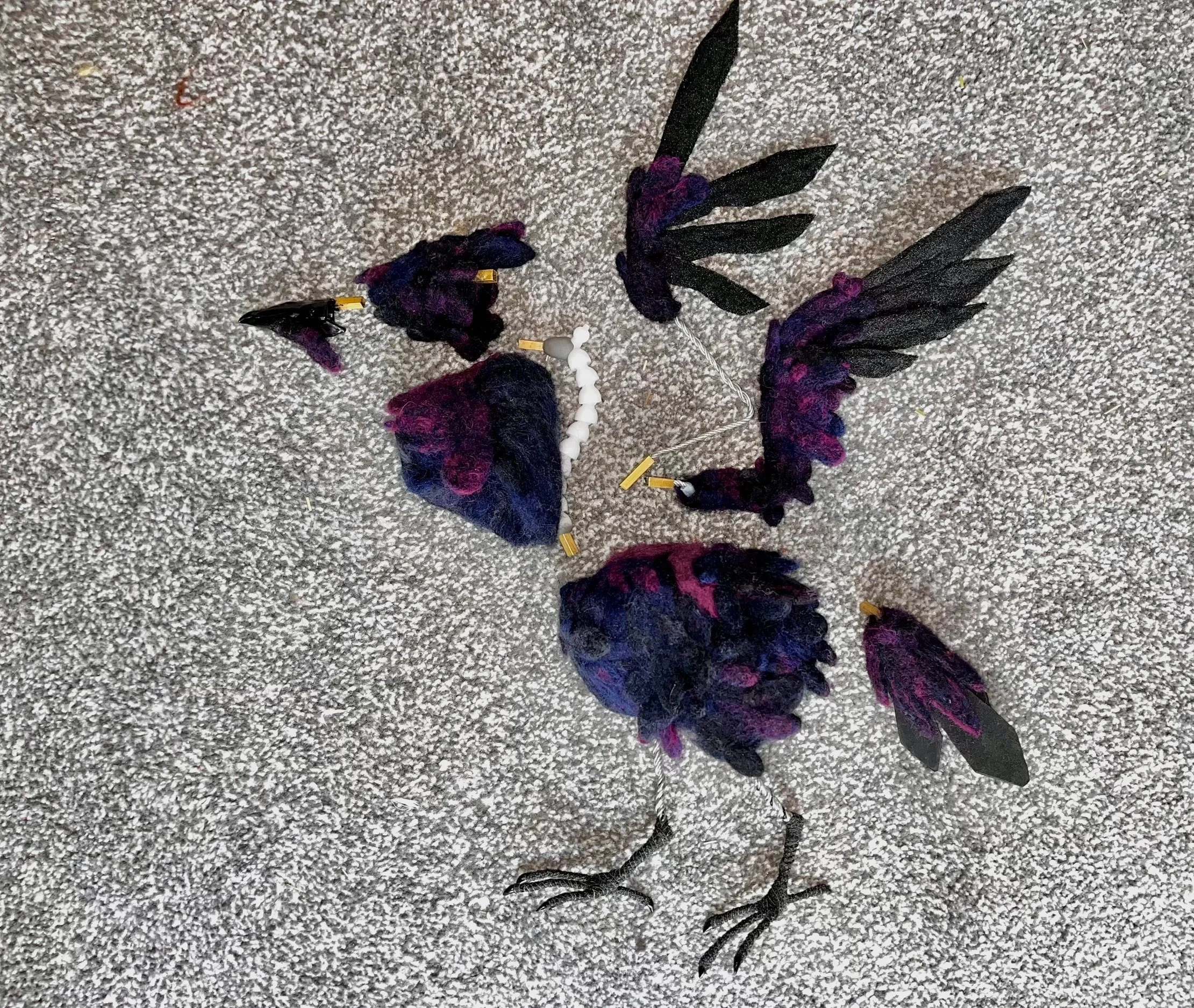 Raven and Crab Project