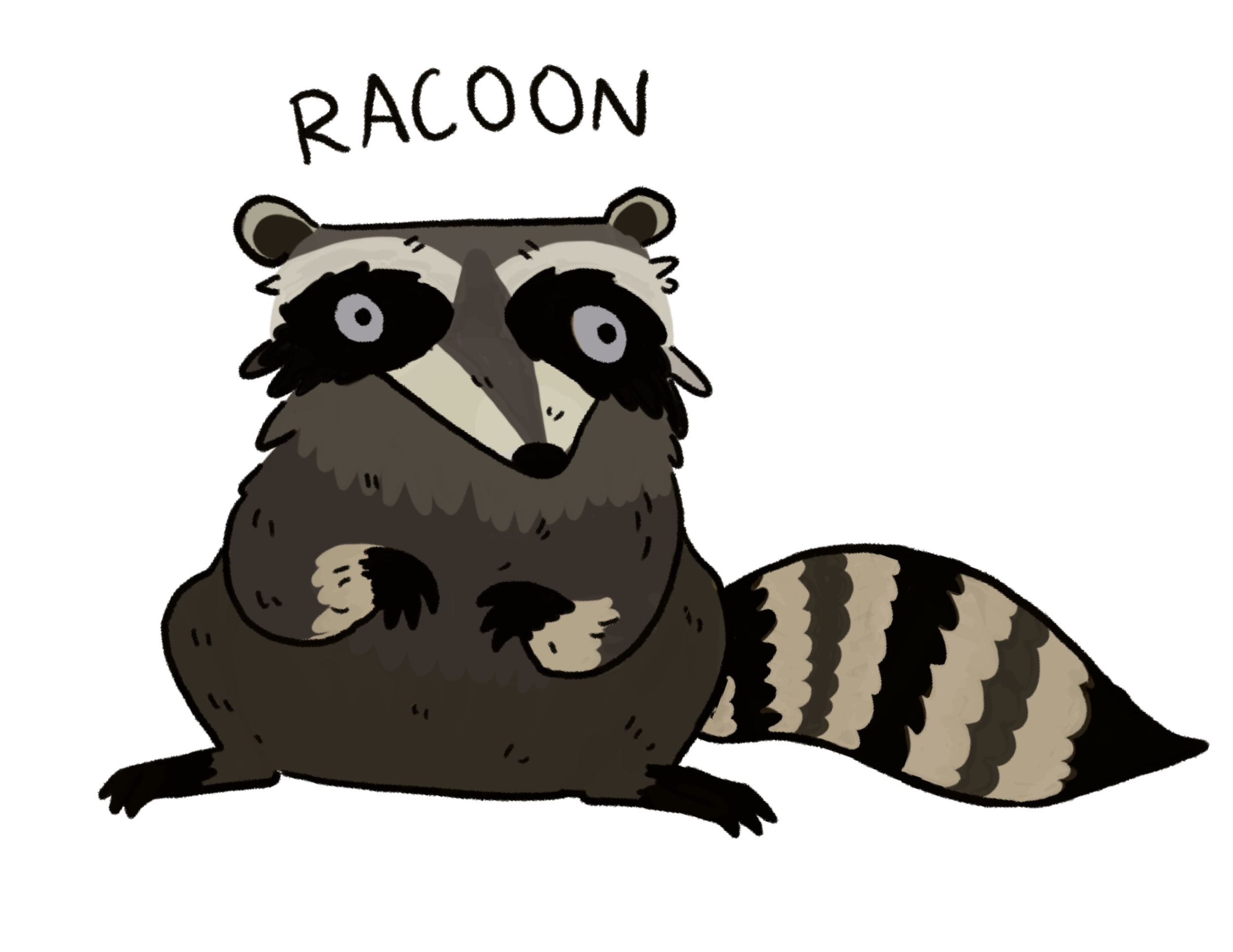 Cartoon raccoon with large eyes sitting on the ground, with the word "RACCOON" above its head.