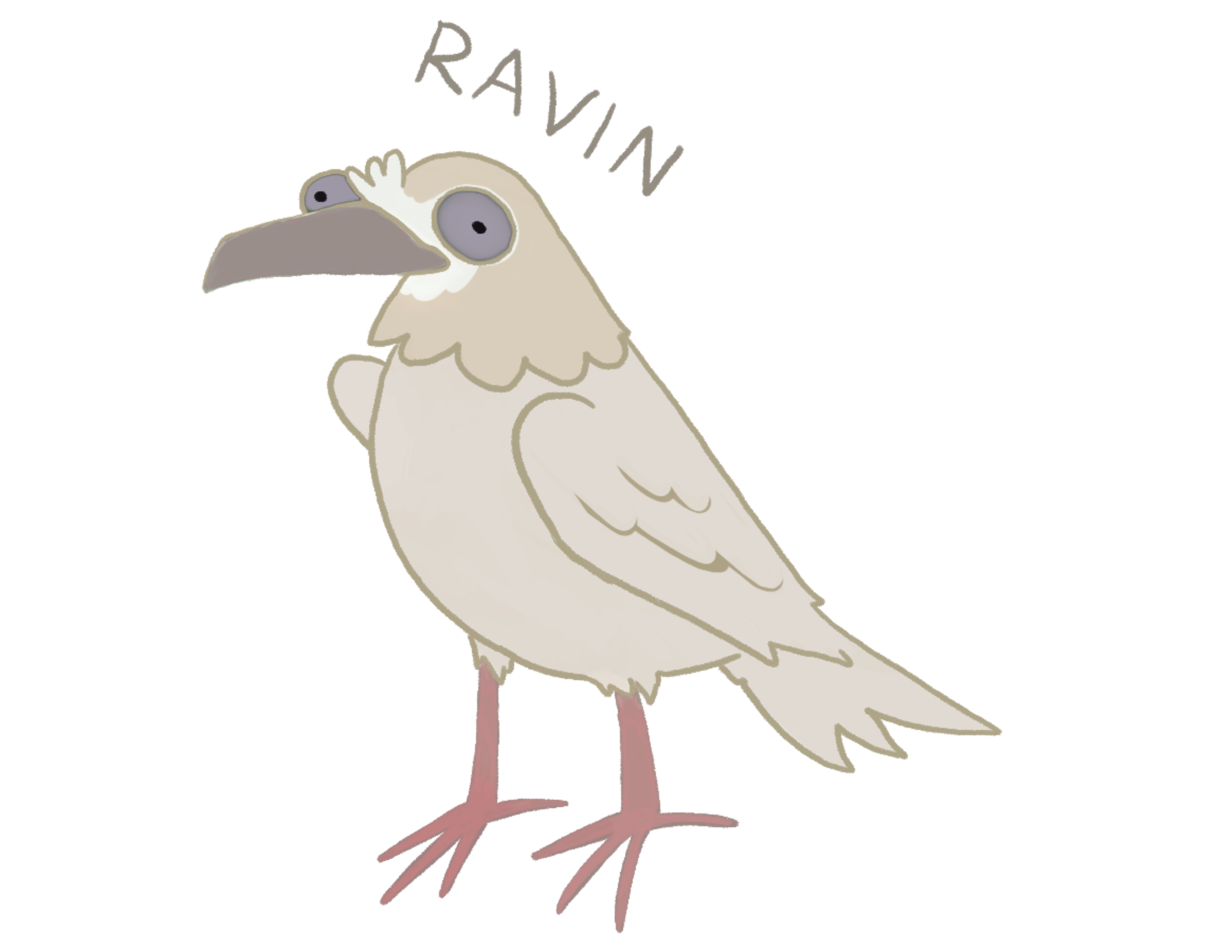 A cartoon Raven with large eyes and a gray beak, standing on pink legs with a cream-colored body and wings.