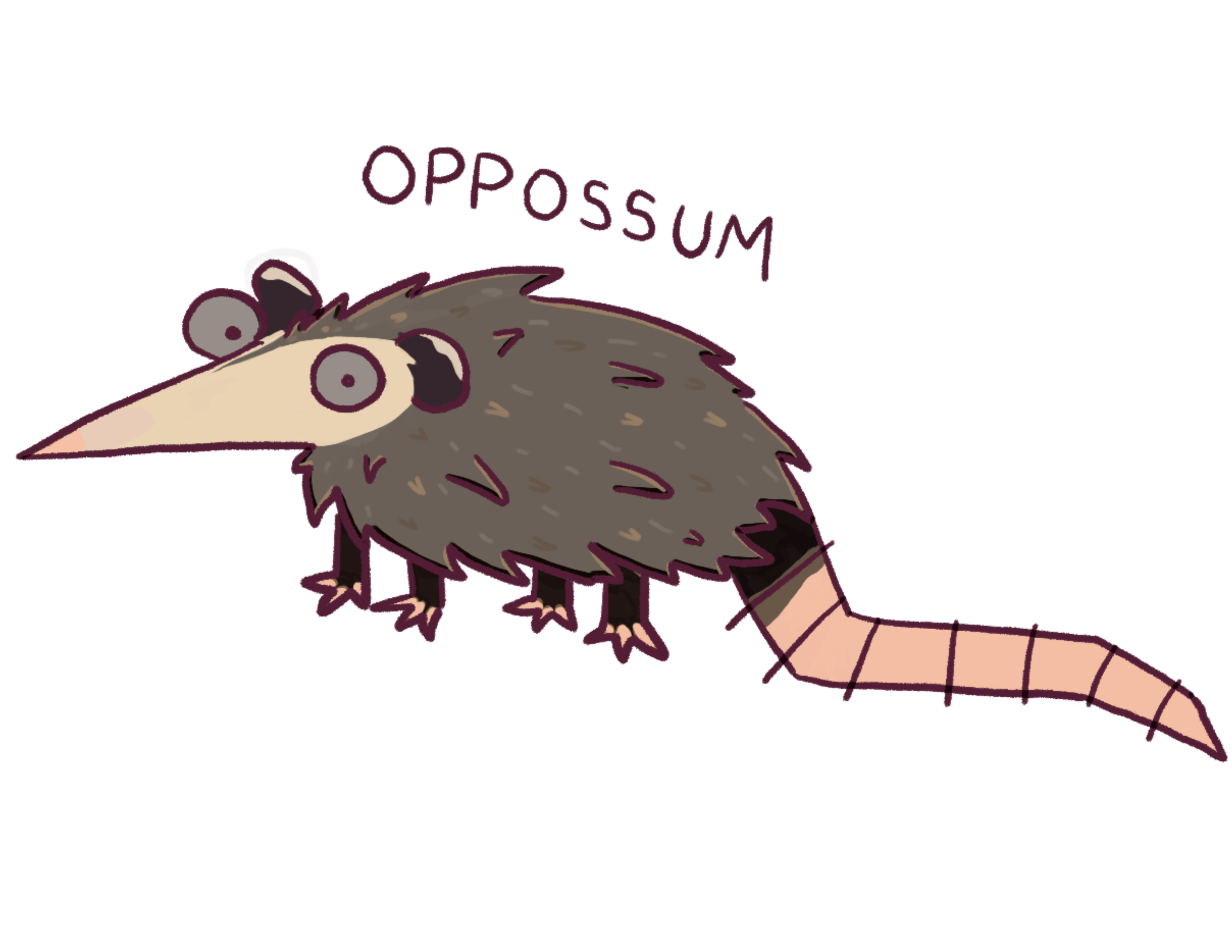 A cartoon opossum standing with the word 'Oppossum' written above it.
