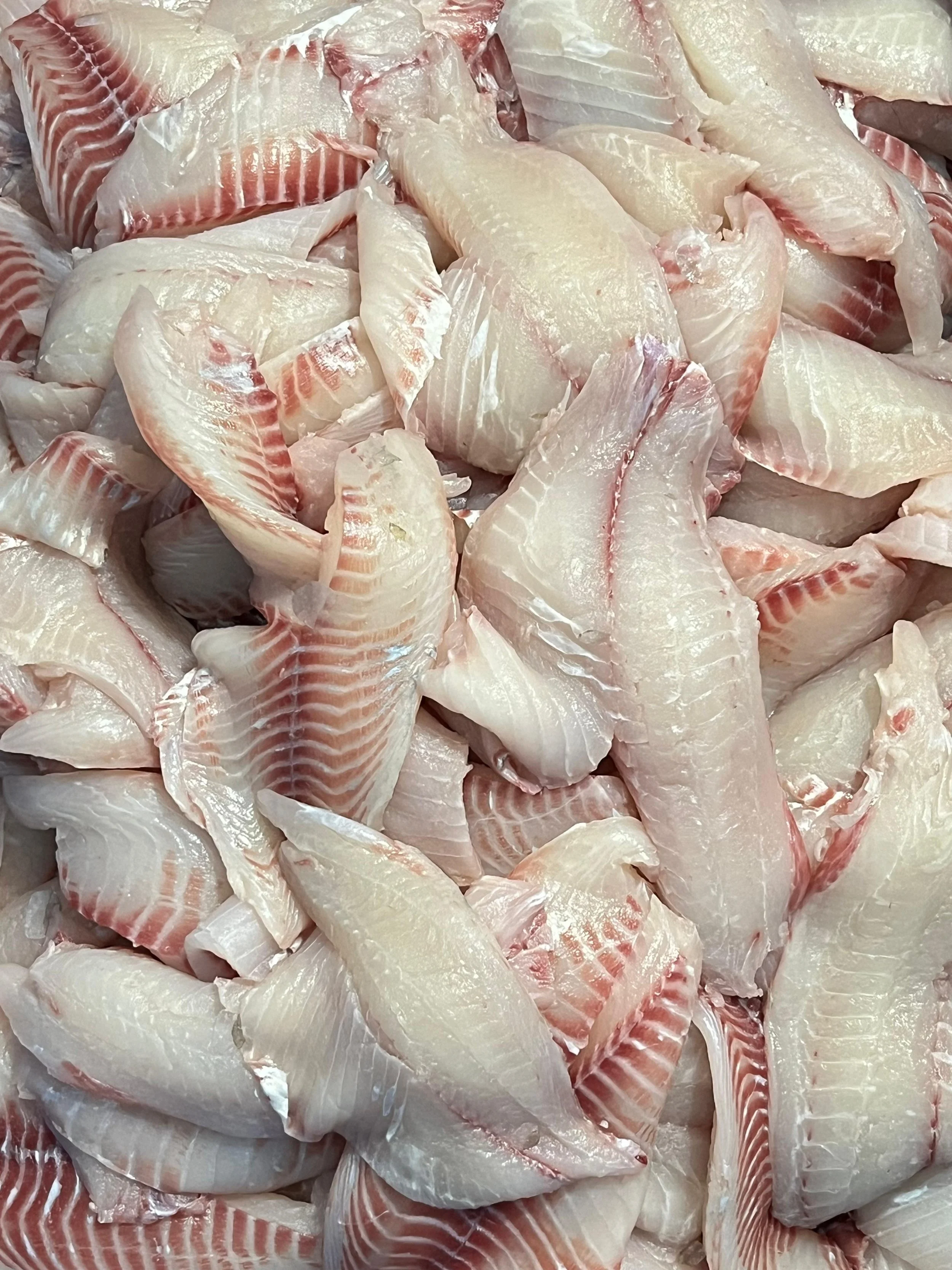 WhatsApp Image 2026-04-29 at 21.14.26.jpeg