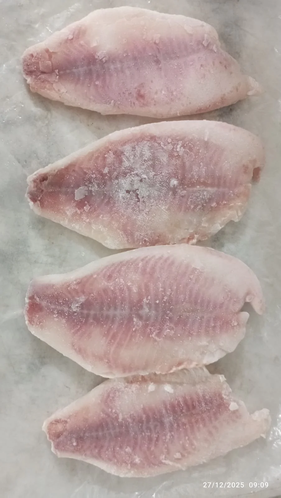 WhatsApp Image 2026-04-26 at 22.48.11.jpeg