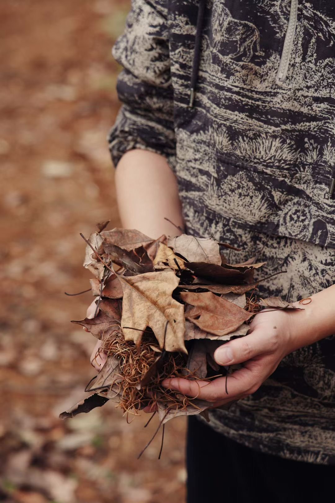 What nature leaves behind, gathered with quiet intention