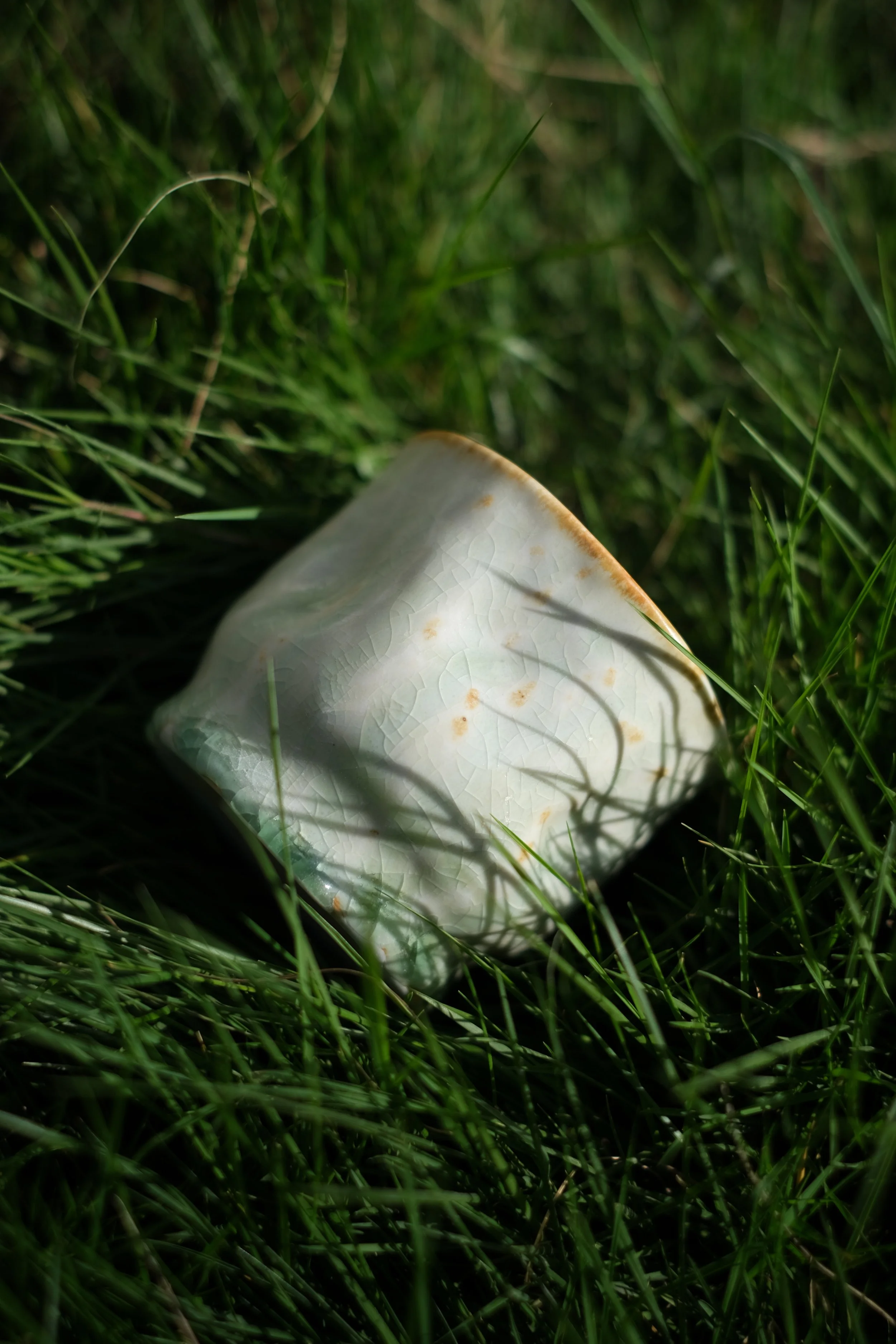 Ginkgo Frost Tea Cup
