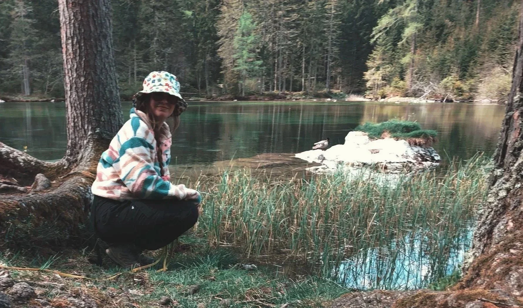 photo of person in forrest