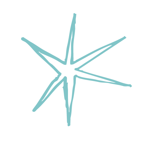 Light blue star-shaped logo on a black background.