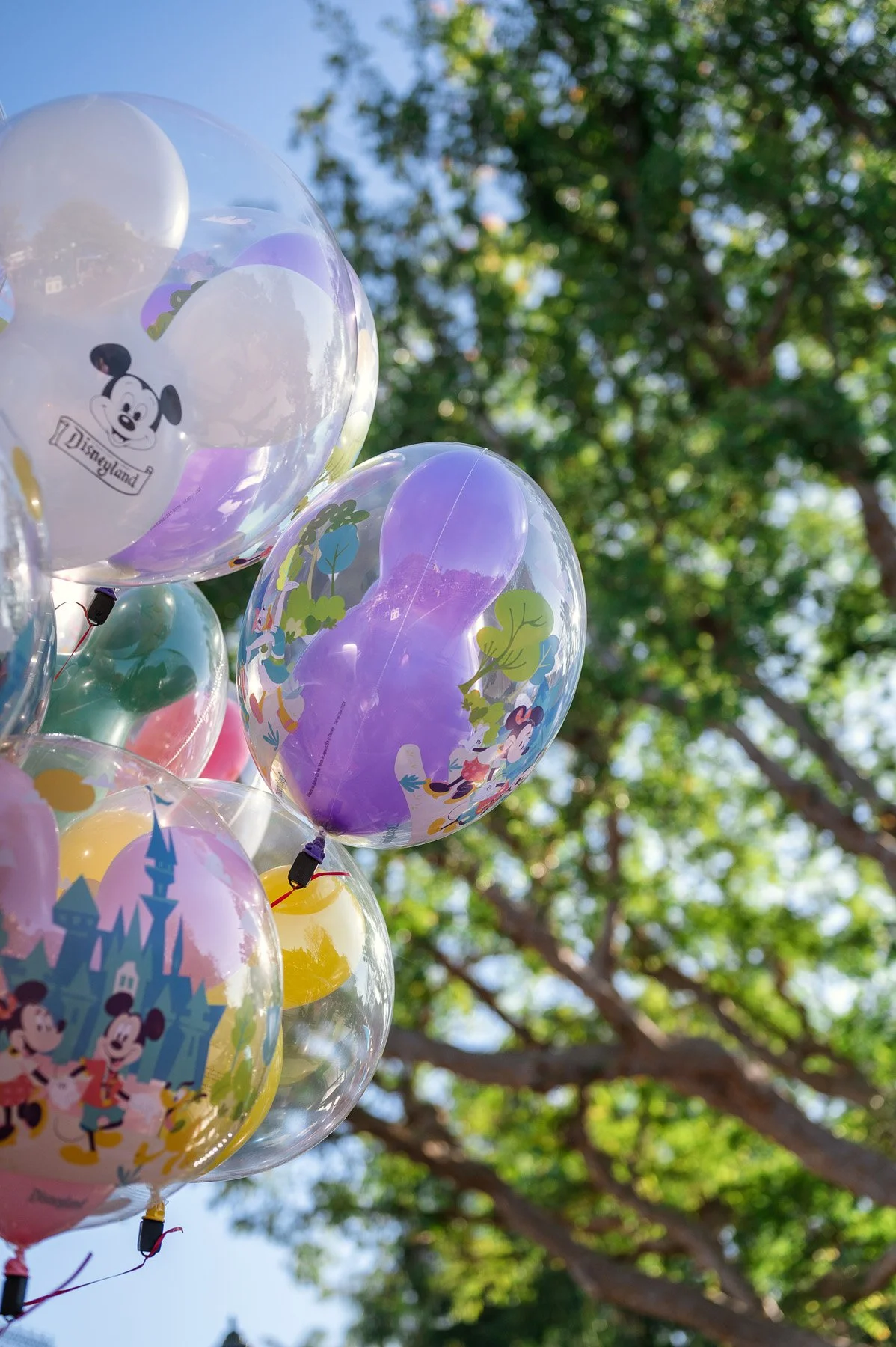 Colorful balloons with Disney characters and themes, outdoors with trees and blue sky in background.