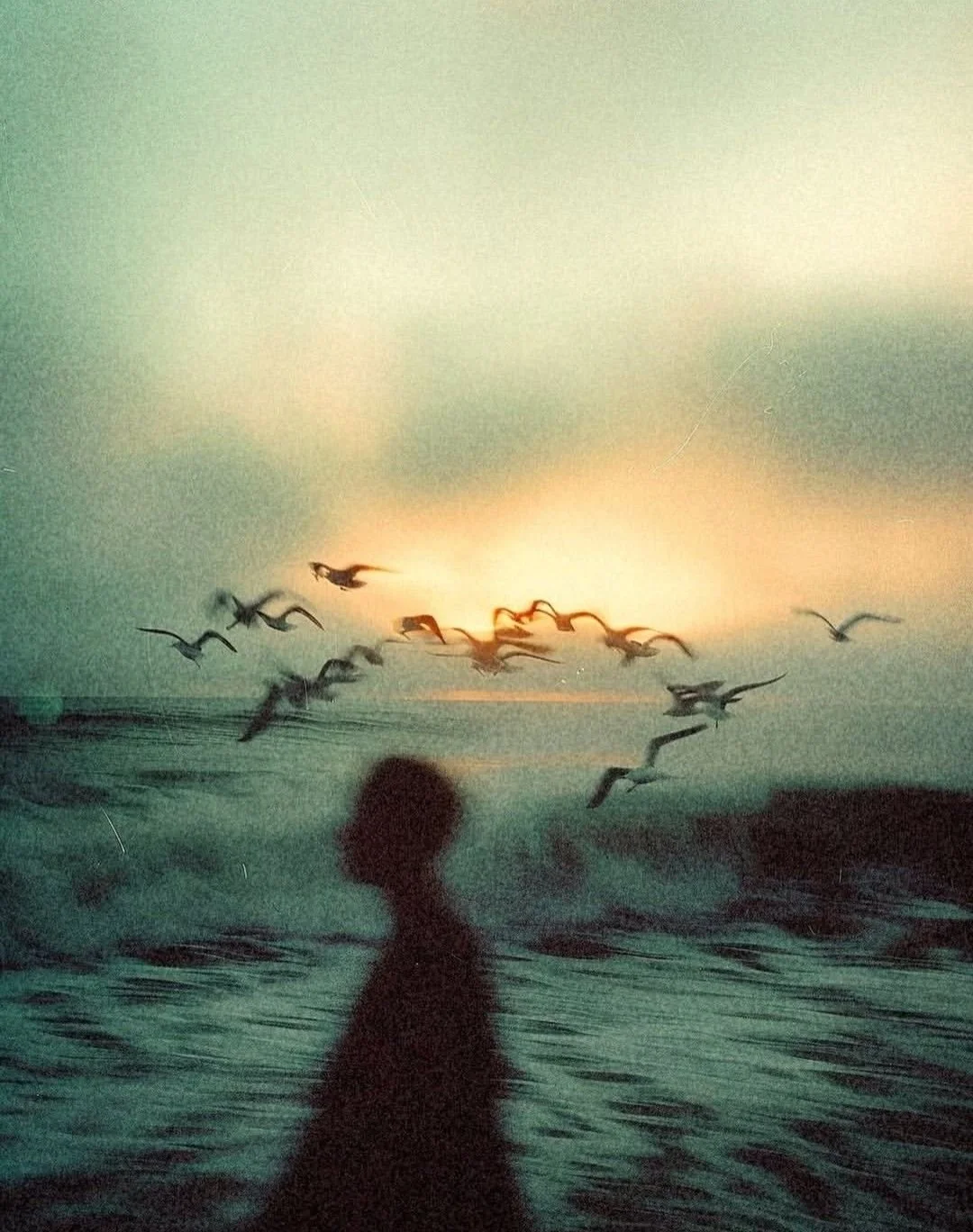 A silhouette of a person on a boat or dock looking at seagulls flying over the ocean during sunset or sunrise.