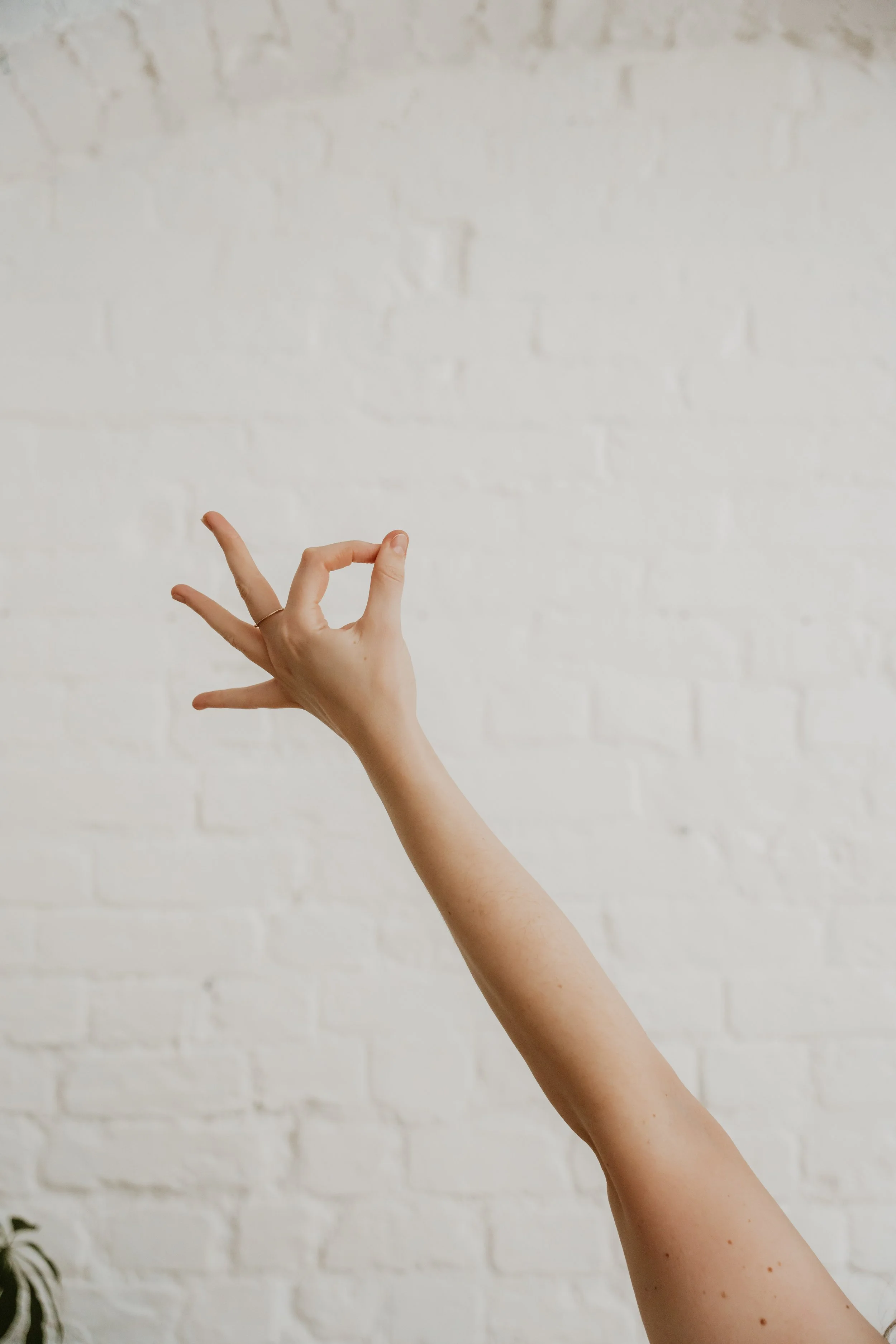 A person's hand making the OK gesture with a brick wall in the background.