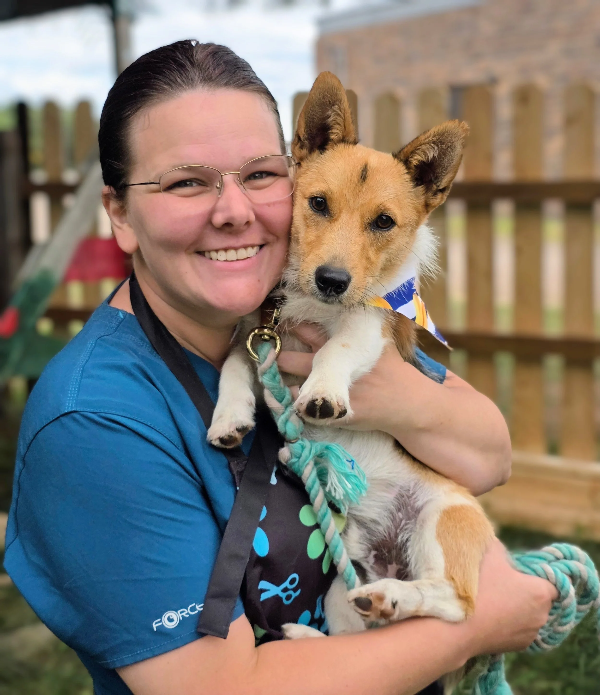 A woman is smiling and holding a tan and white dog with pointed ears, wearing a blue bandana, outdoors on a patio with a wooden fence in the background.