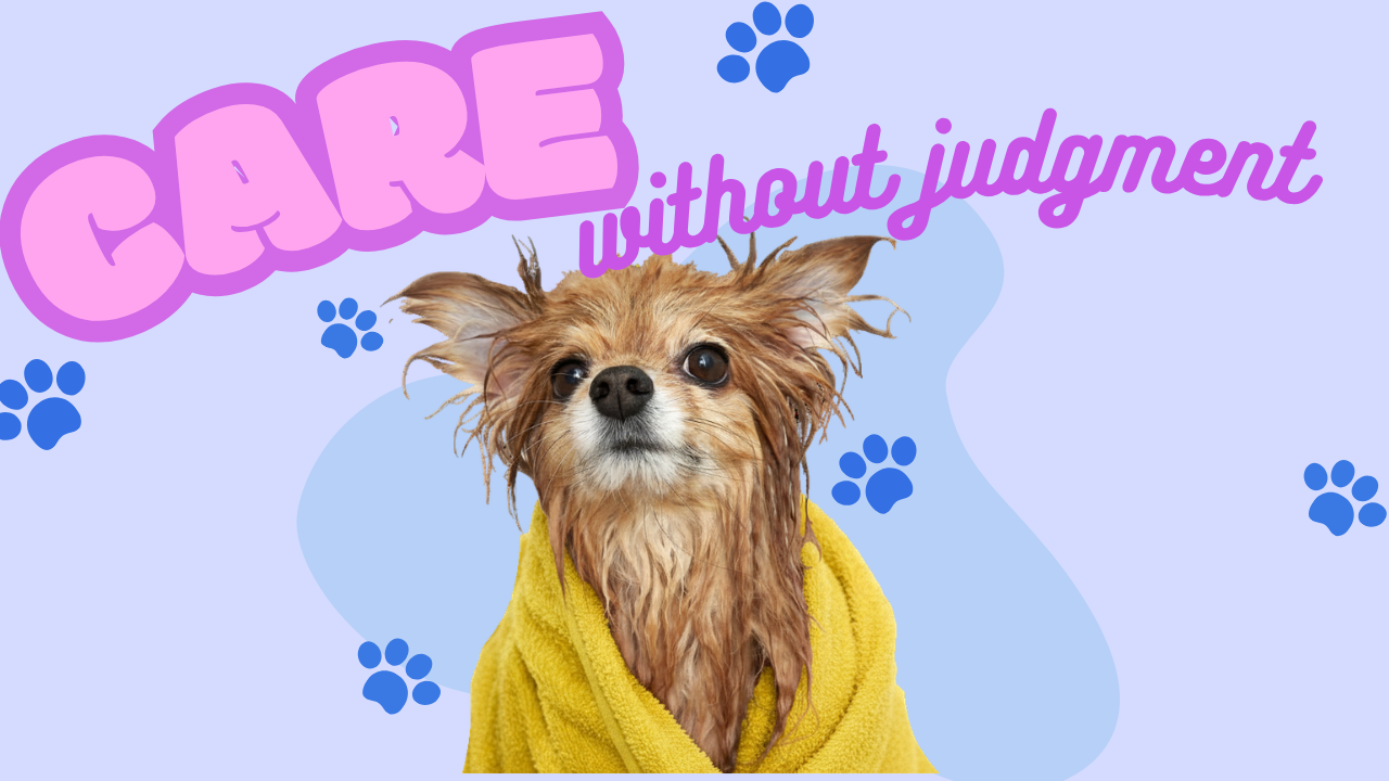 Wet dog wrapped in a yellow towel with the words "CARE without judgment" and paw prints in the background.