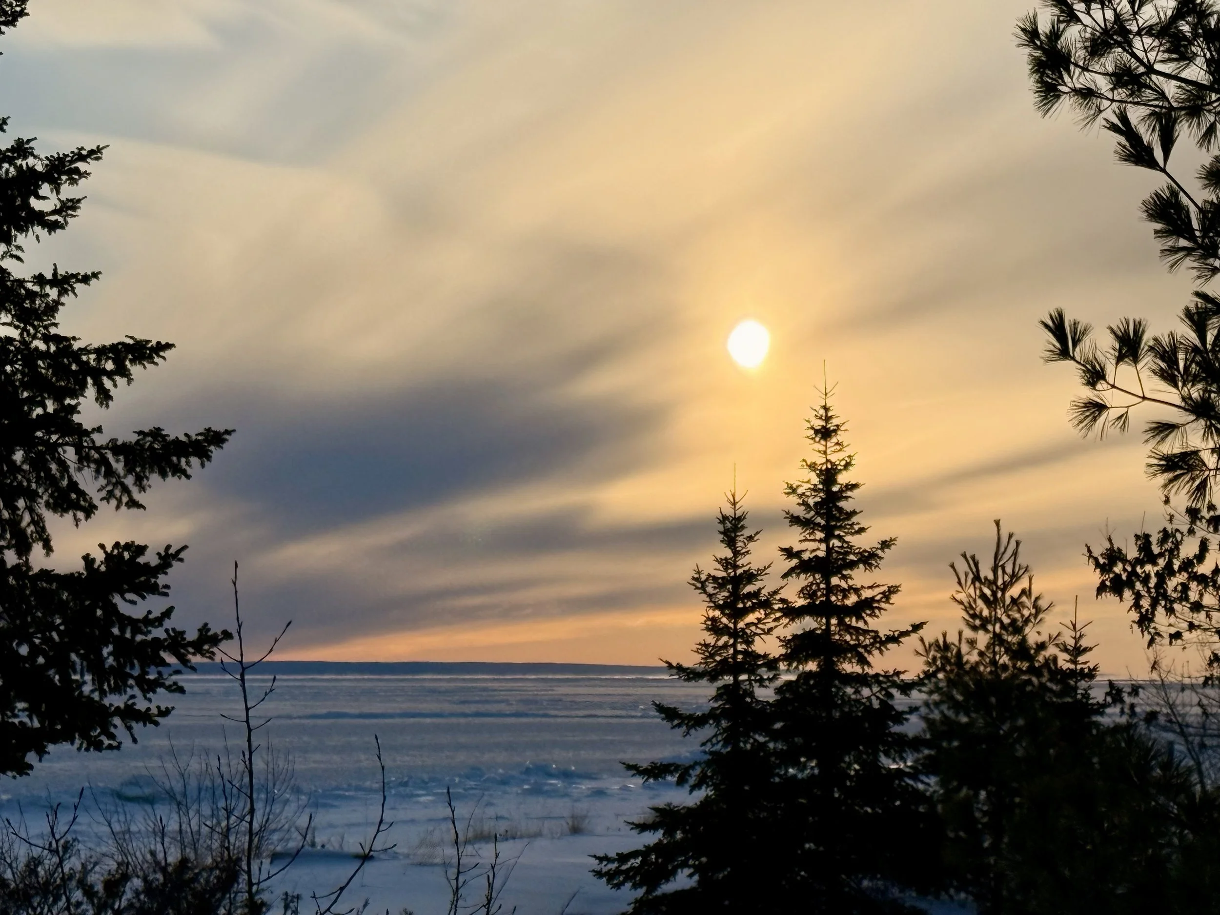 Journeying Through Grief &amp; Loss: A Half Day Workshop 
