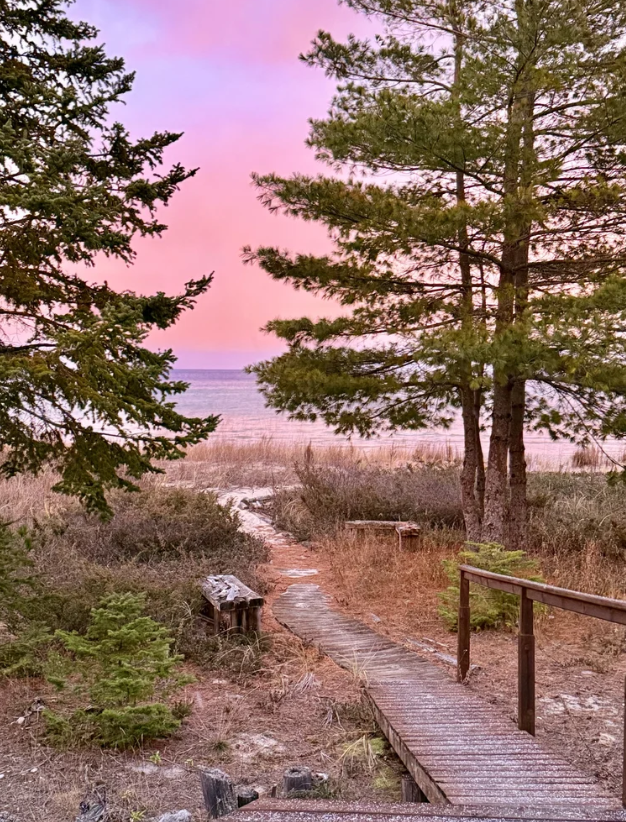 A wooden hiking trail in a coastal area with pine trees, under a pink and purple sky.